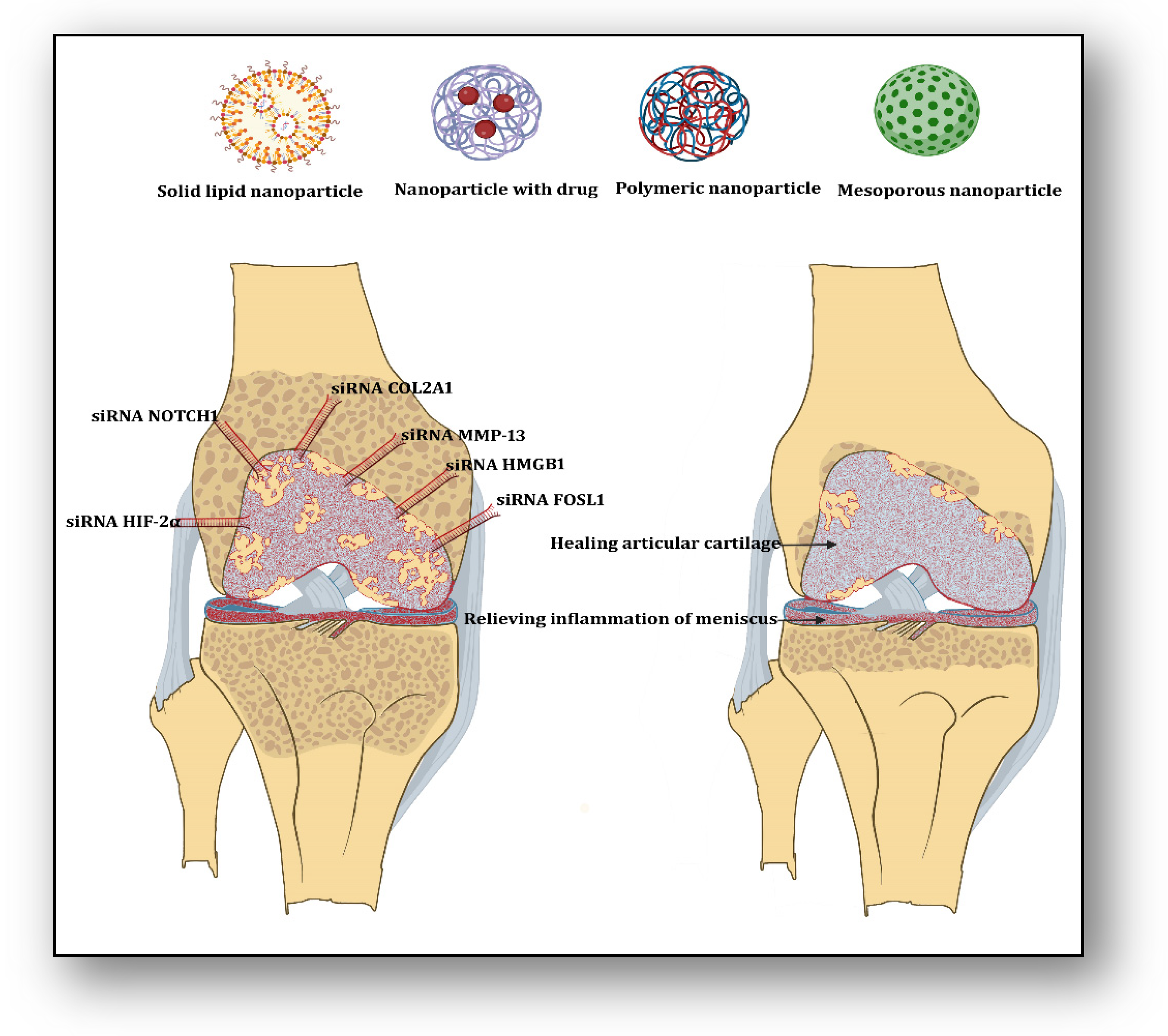 Biomedicines 12 00090 g001