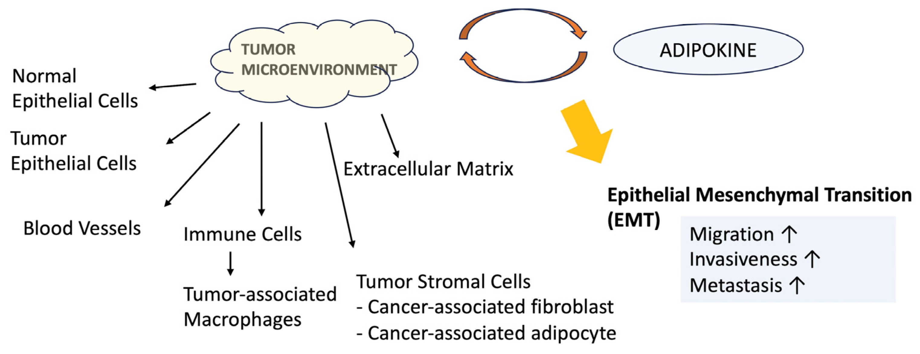 Biomedicines 12 00097 g002