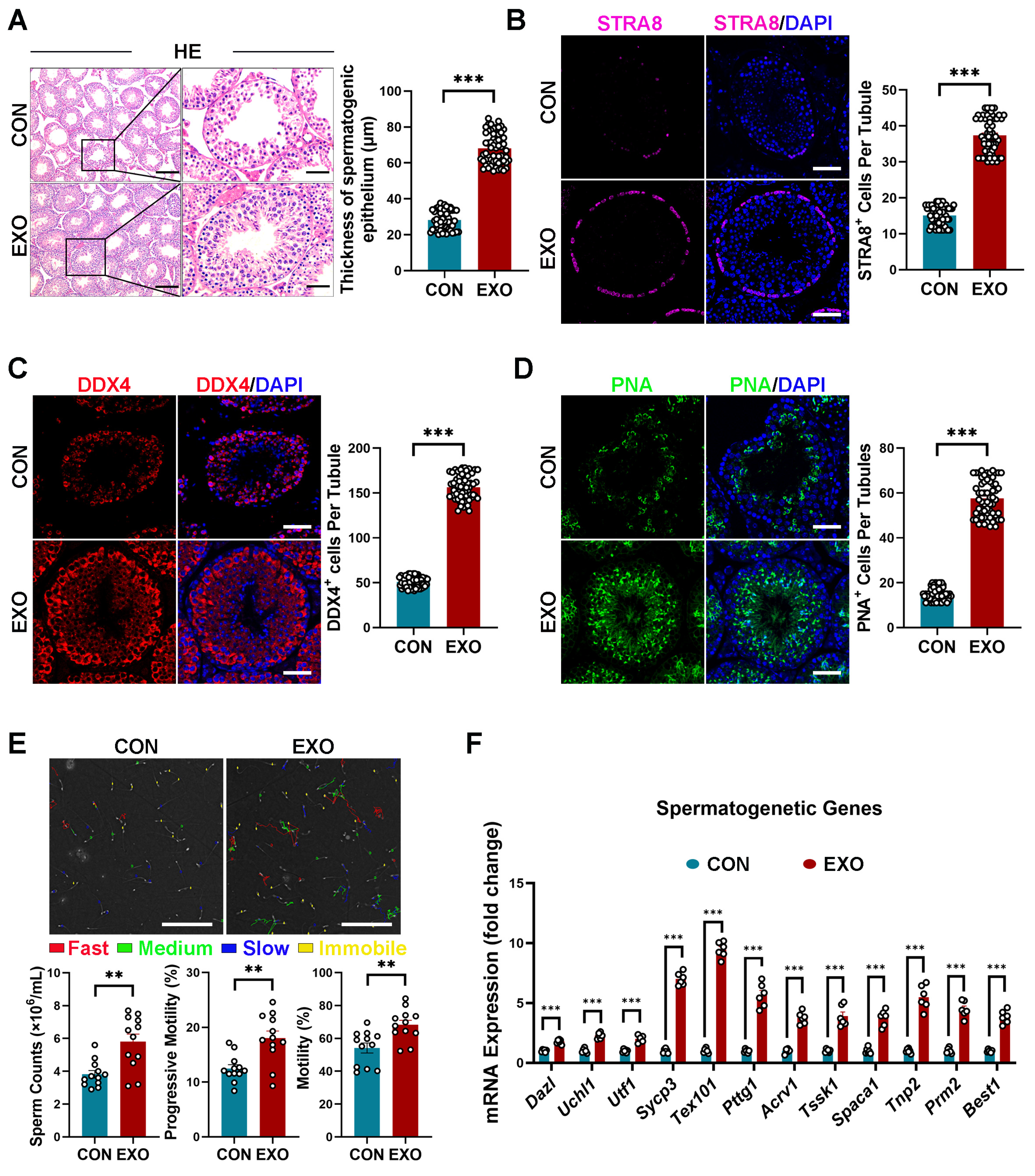 Biomedicines 12 00098 g003 Biomedicines 12 00098 g003