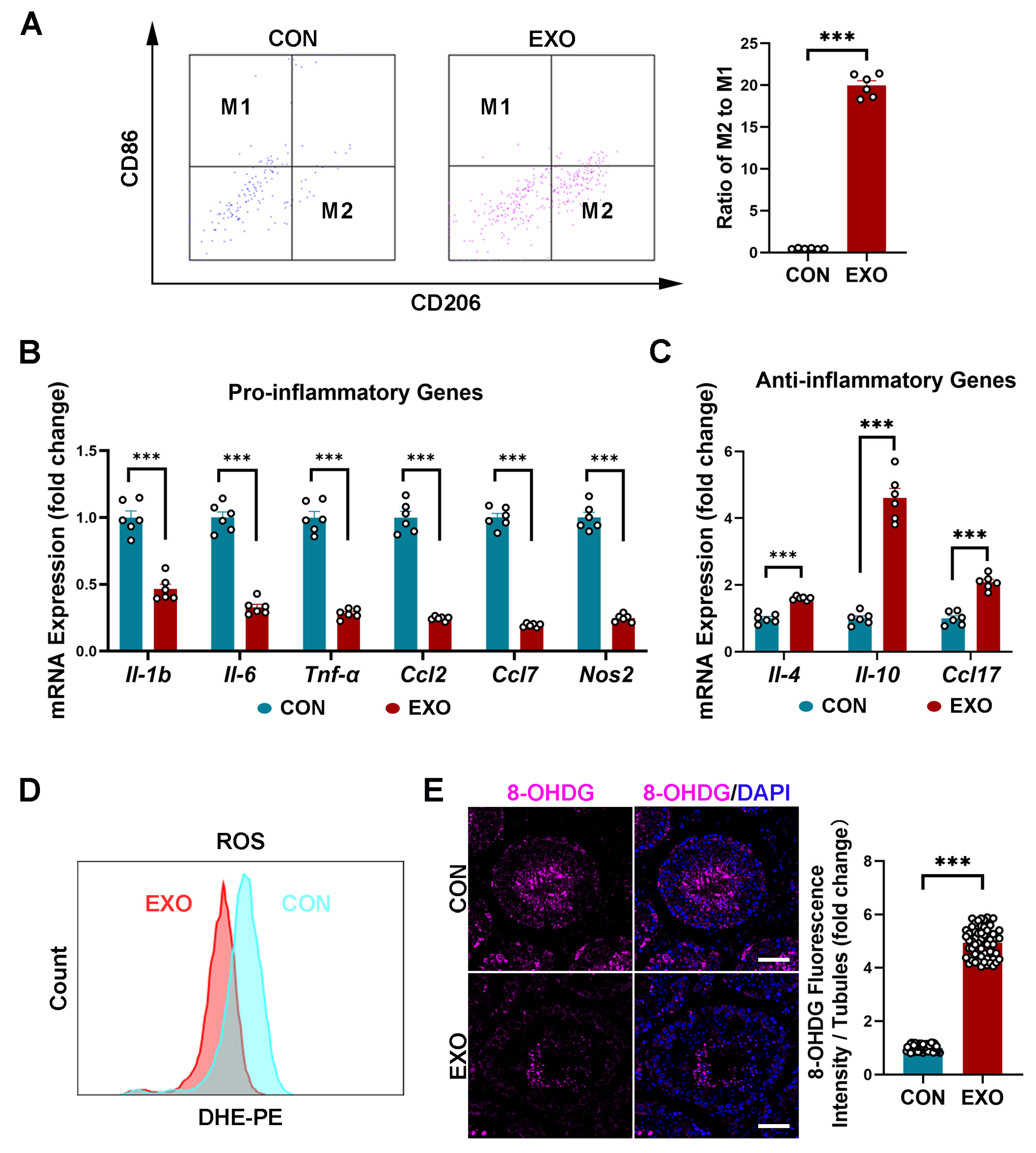 Biomedicines 12 00098 g005 Biomedicines 12 00098 g005