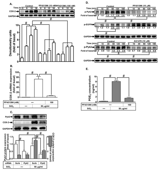 Biomedicines 12 00107 g004