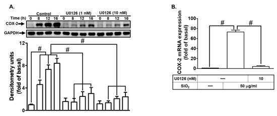Biomedicines 12 00107 g006a