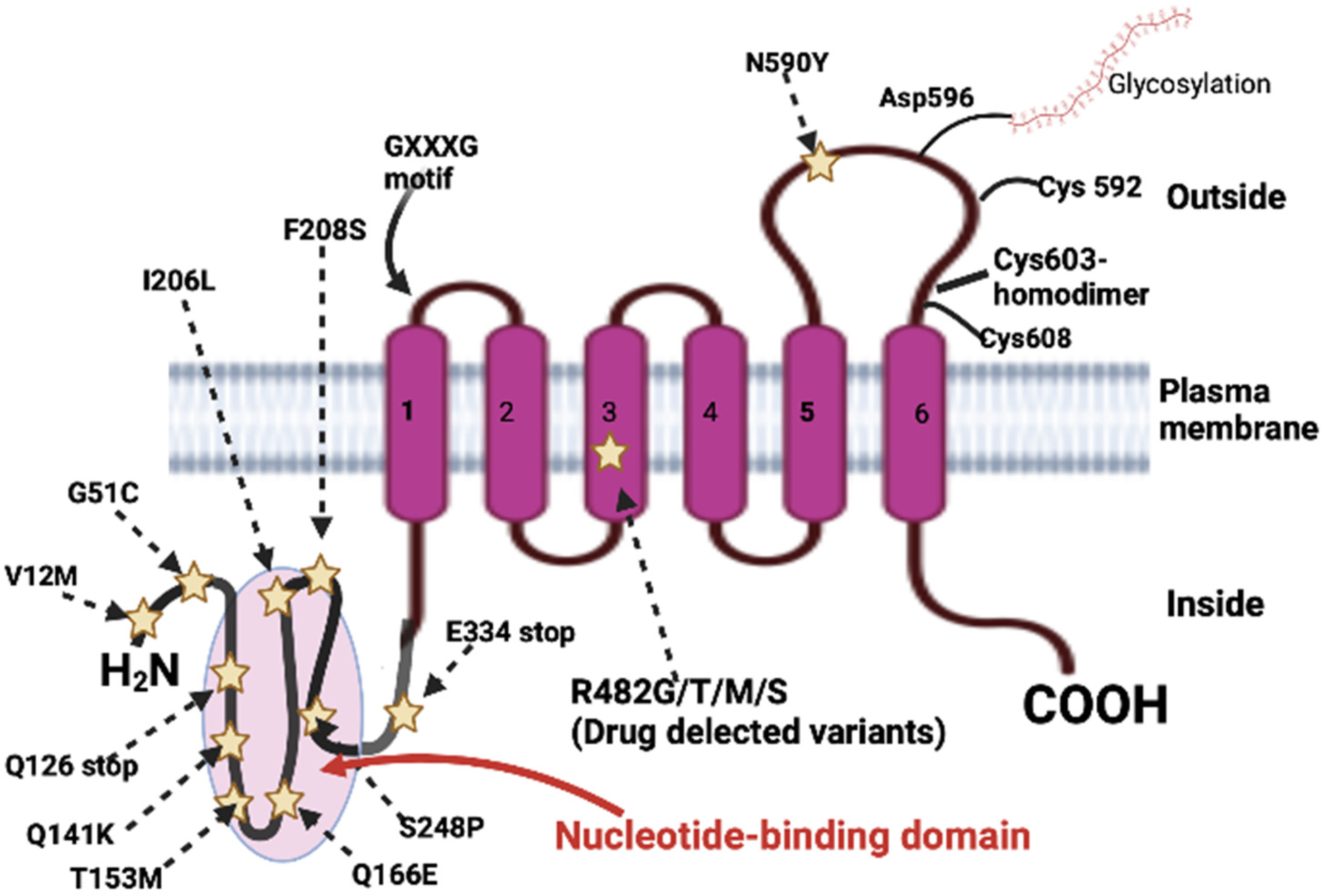 Biomedicines 12 00111 g001