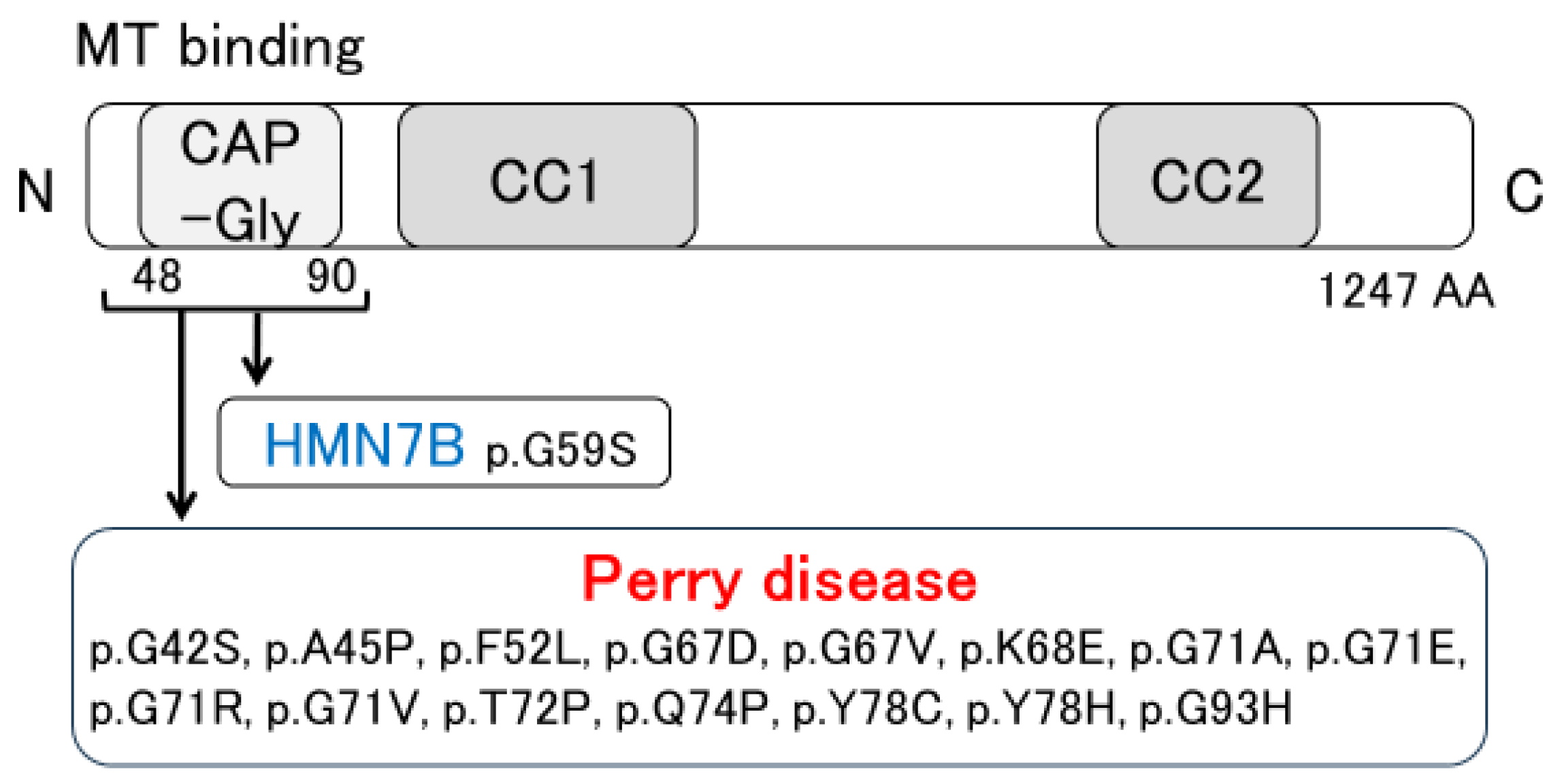 Biomedicines 12 00113 g002