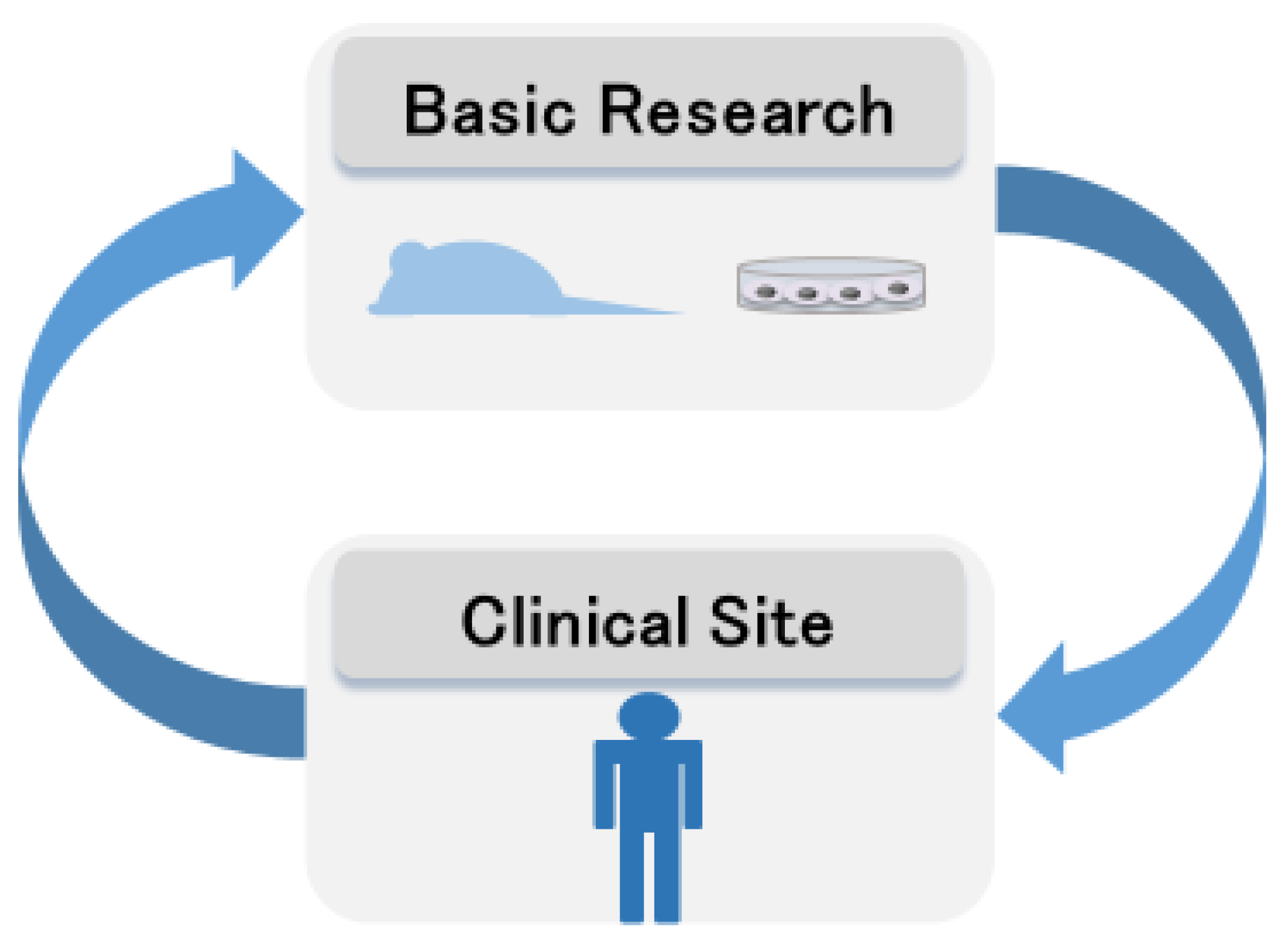 Biomedicines 12 00113 g004