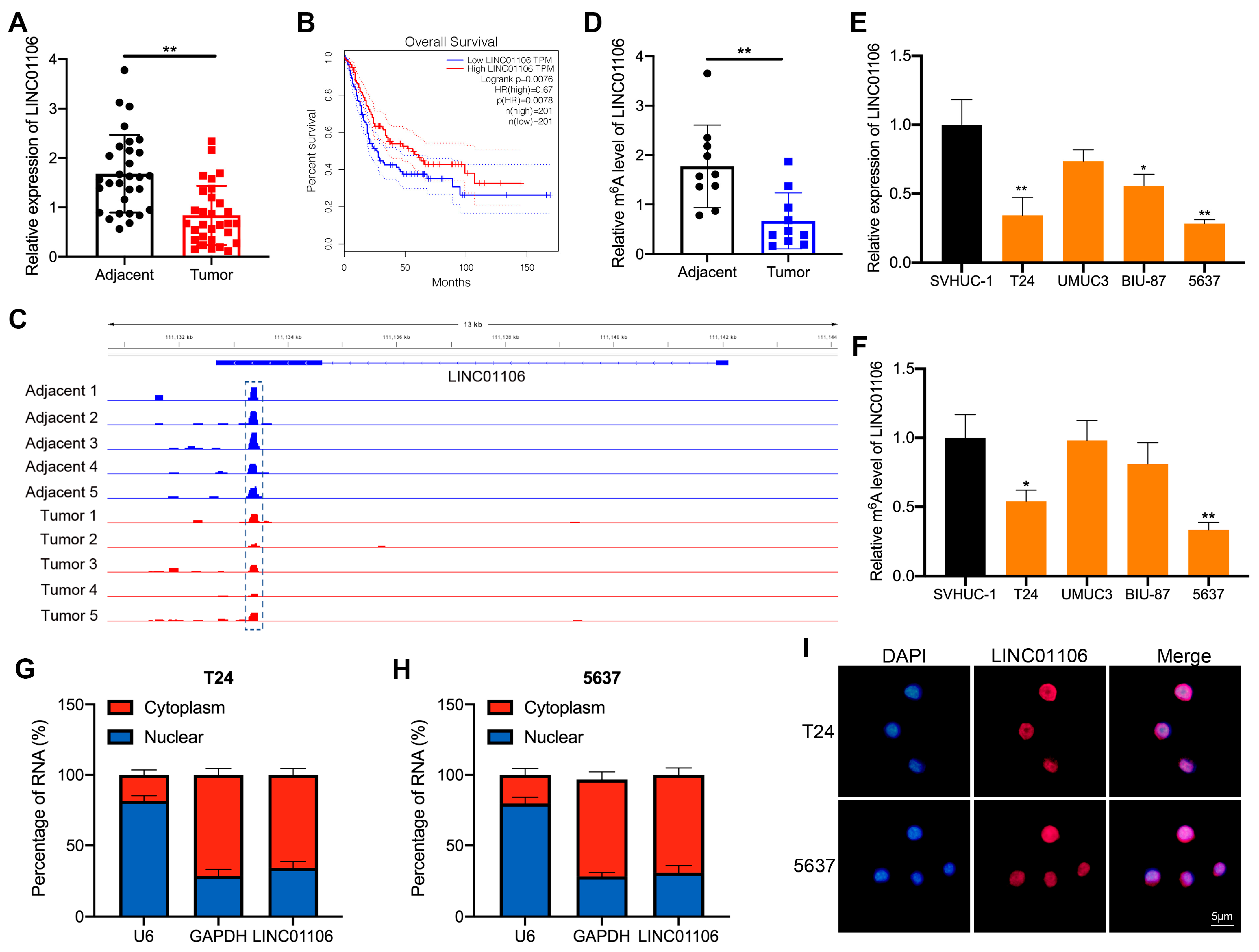 Biomedicines 12 00114 g001