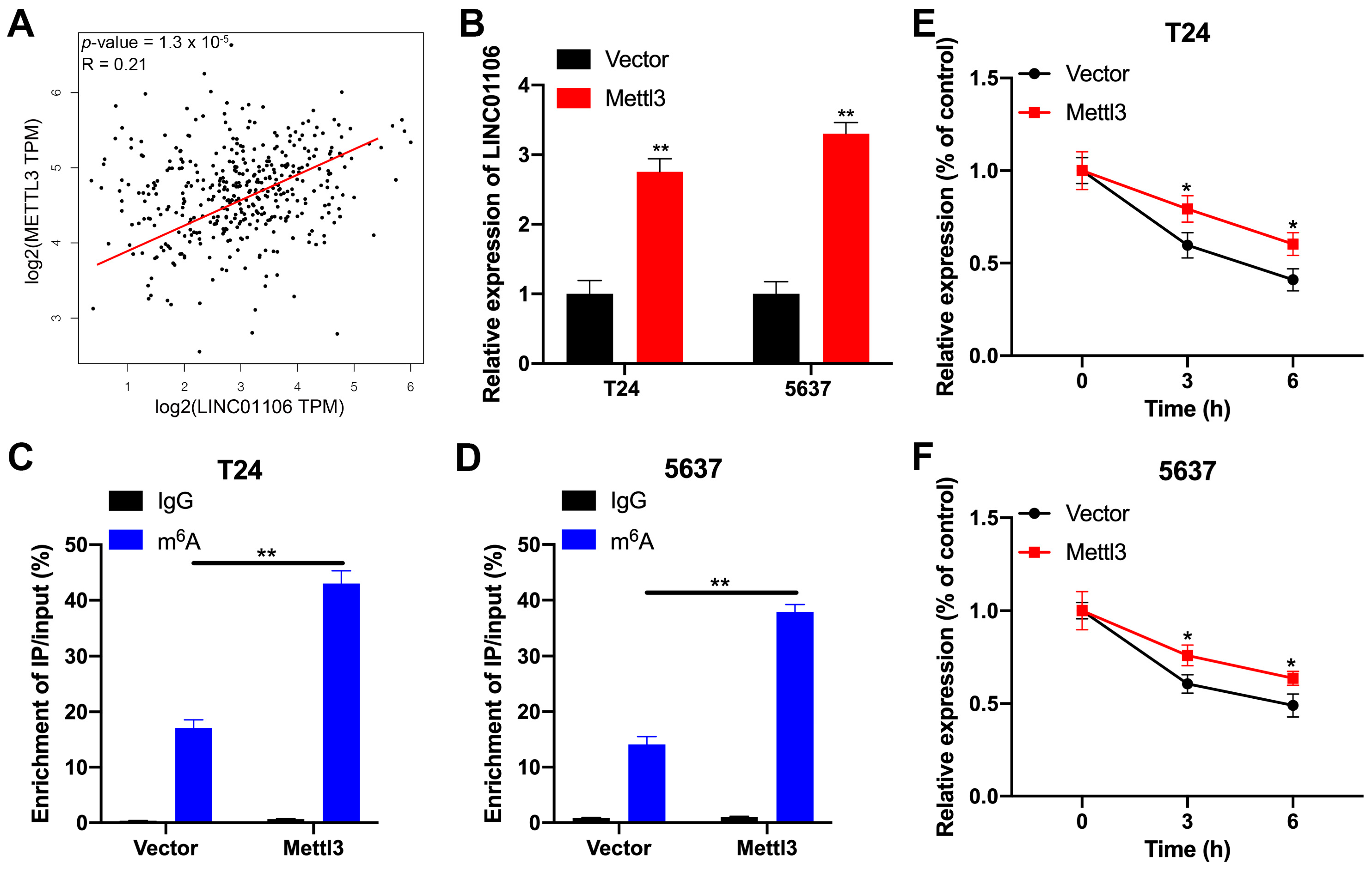 Biomedicines 12 00114 g002