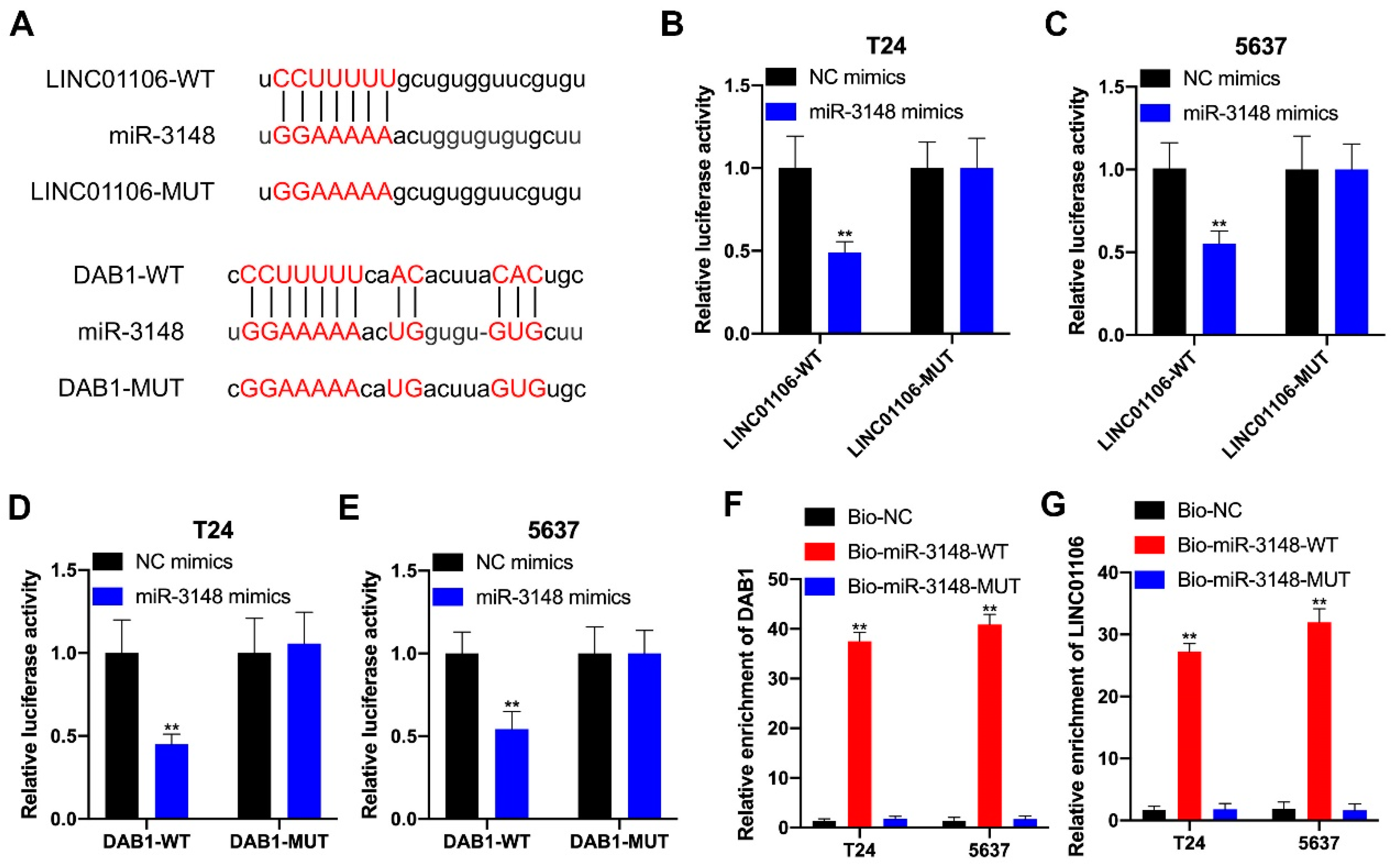 Biomedicines 12 00114 g006