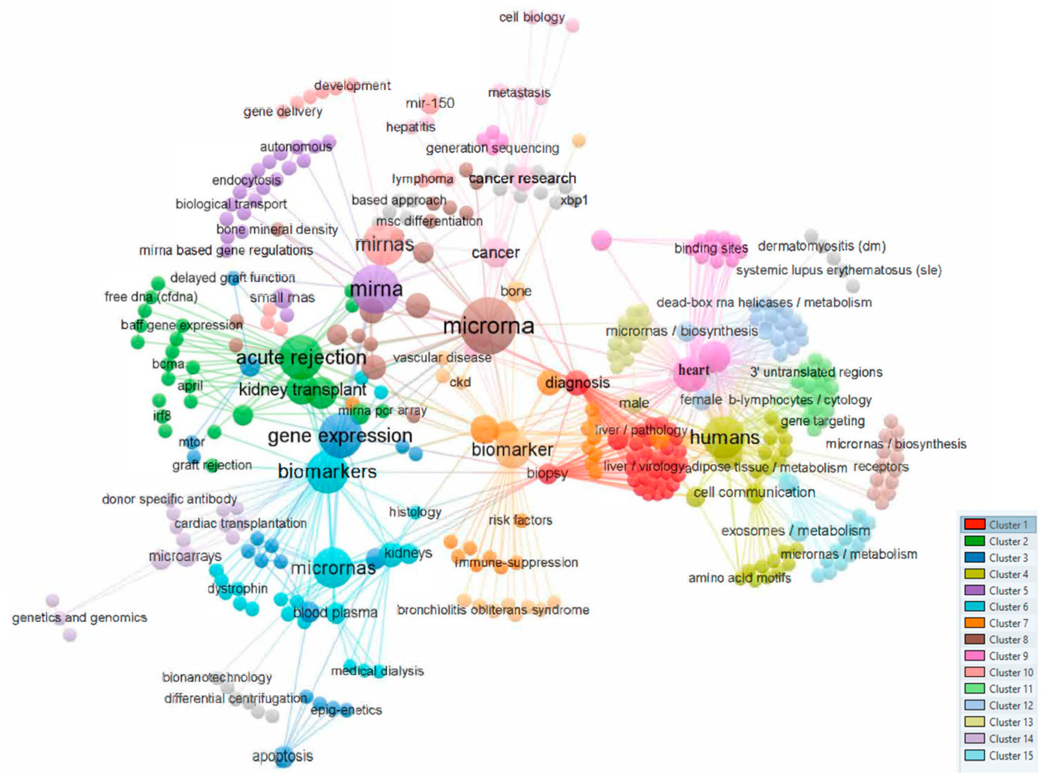 Biomedicines 12 00116 g001