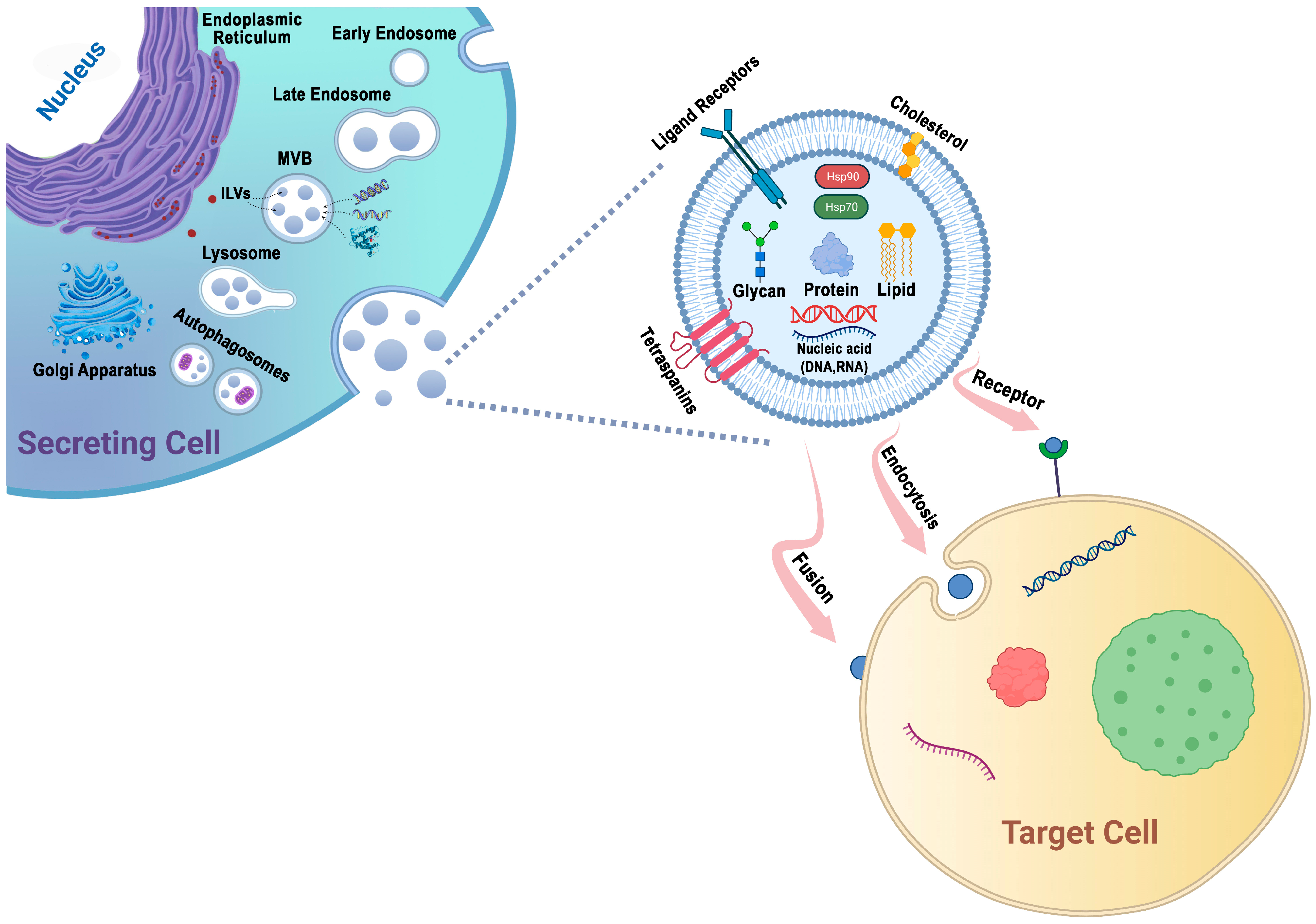 Biomedicines 12 00123 g001