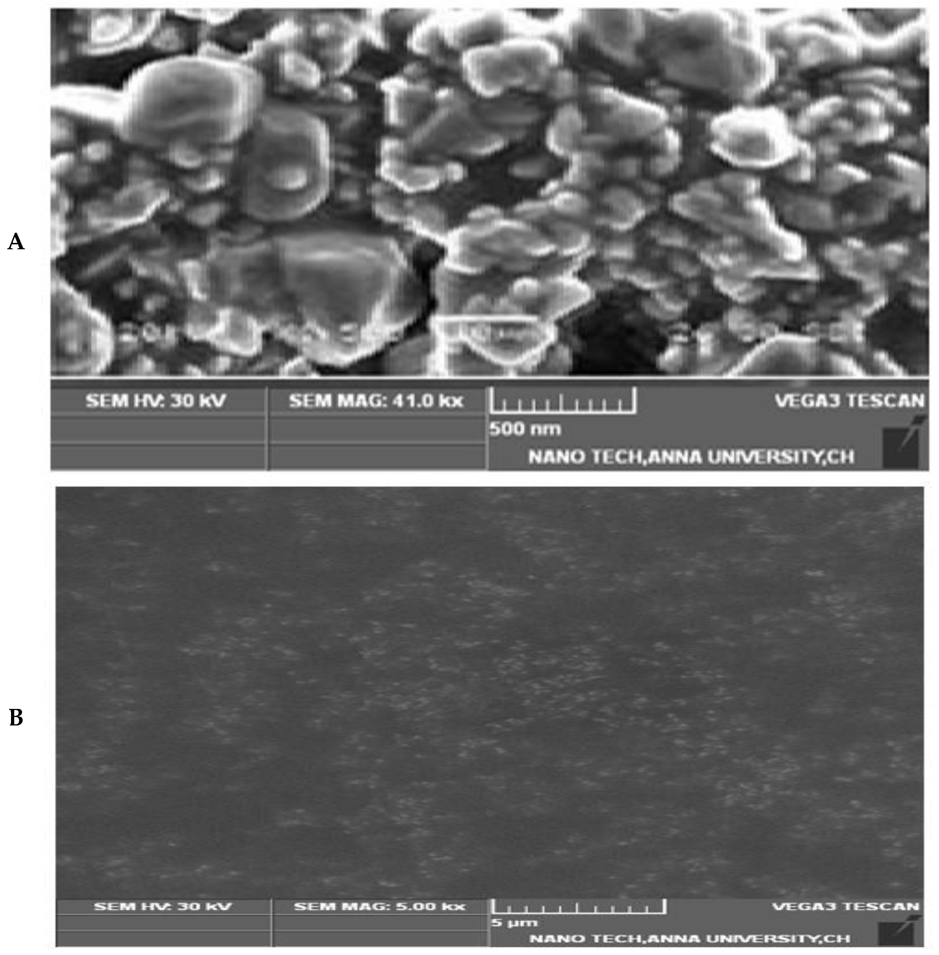 Biomedicines 12 00126 g008