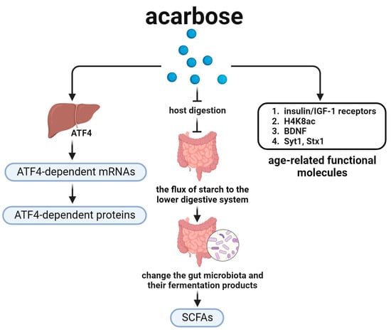 Biomedicines 12 00127 g004