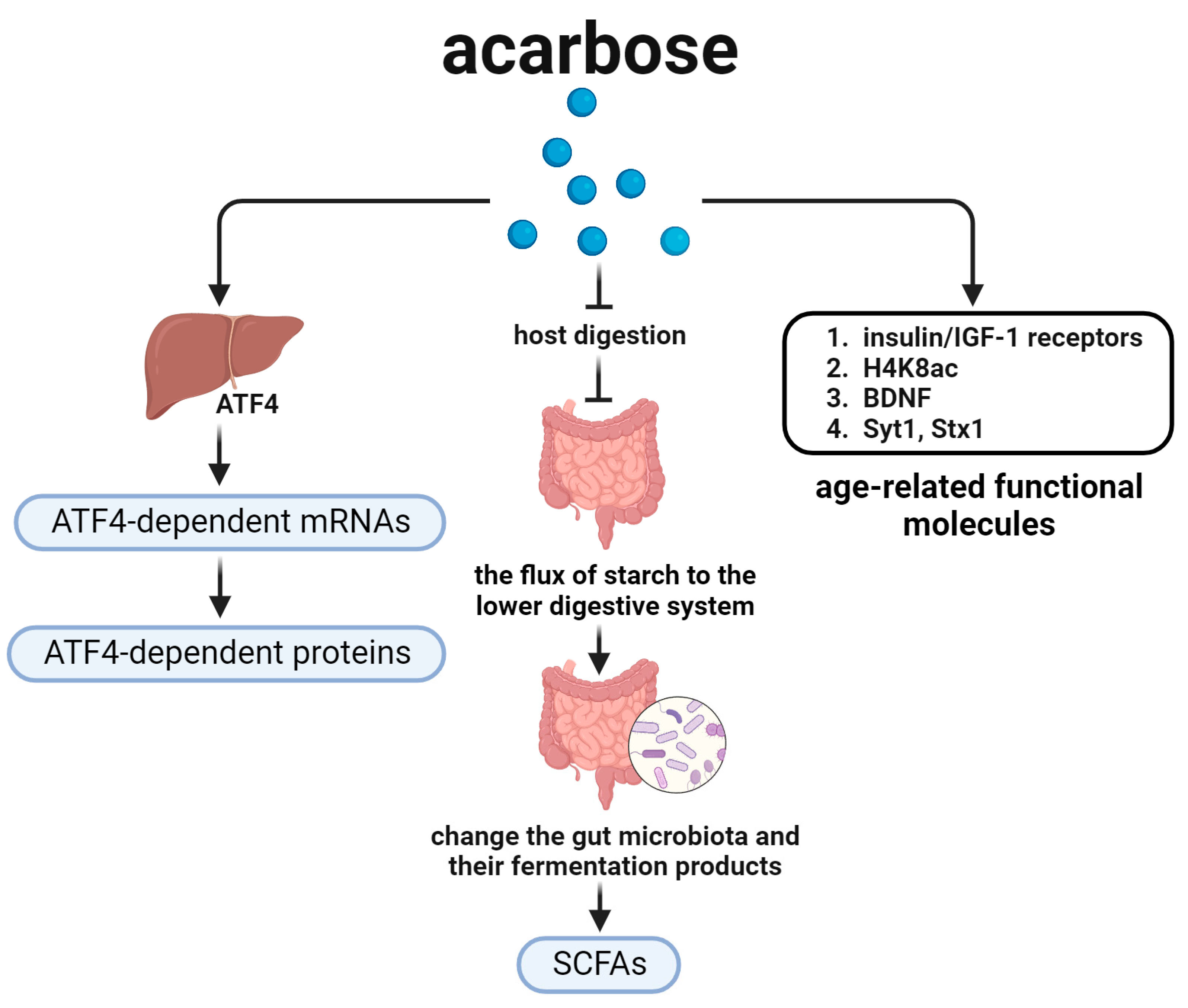 Biomedicines 12 00127 g004