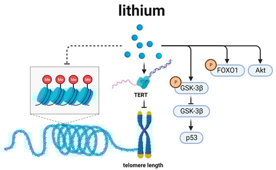 Biomedicines 12 00127 g006