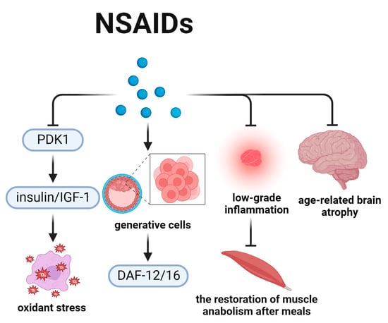 Biomedicines 12 00127 g007