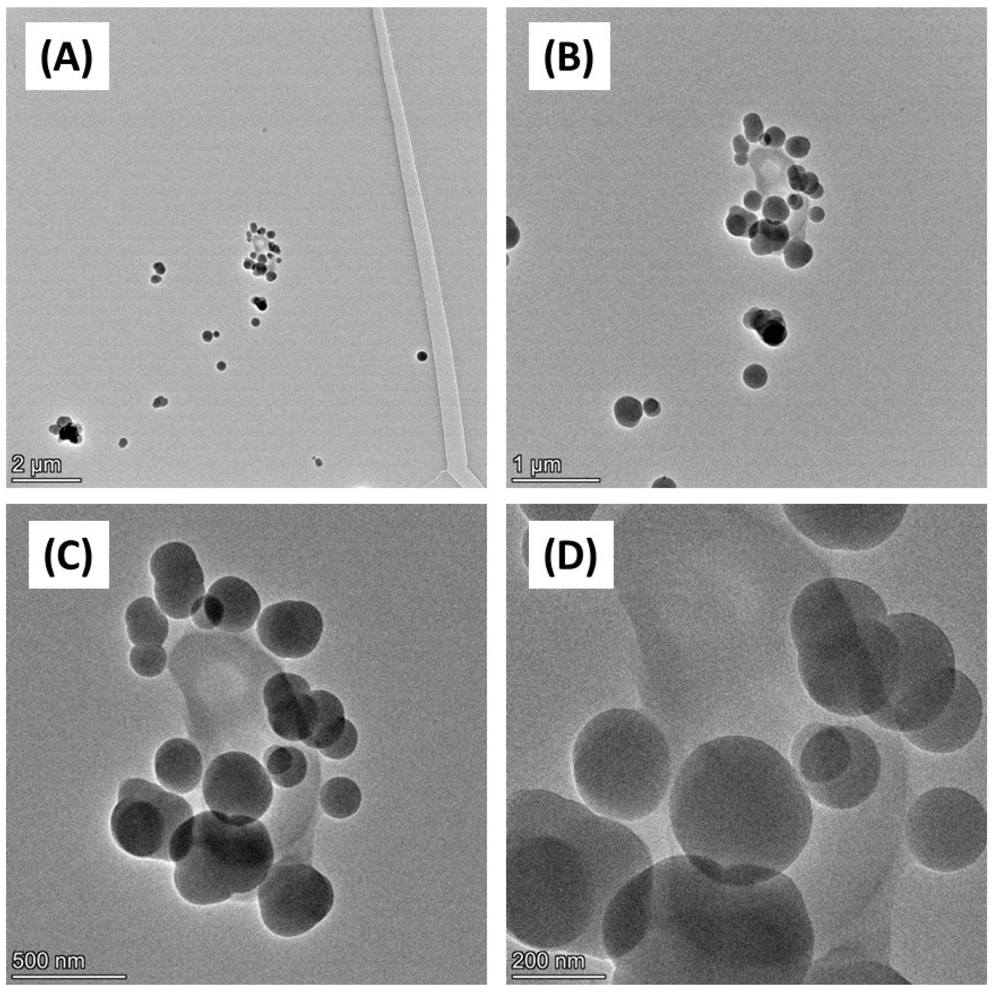 Biomedicines 12 00128 g002 Biomedicines 12 00128 g002