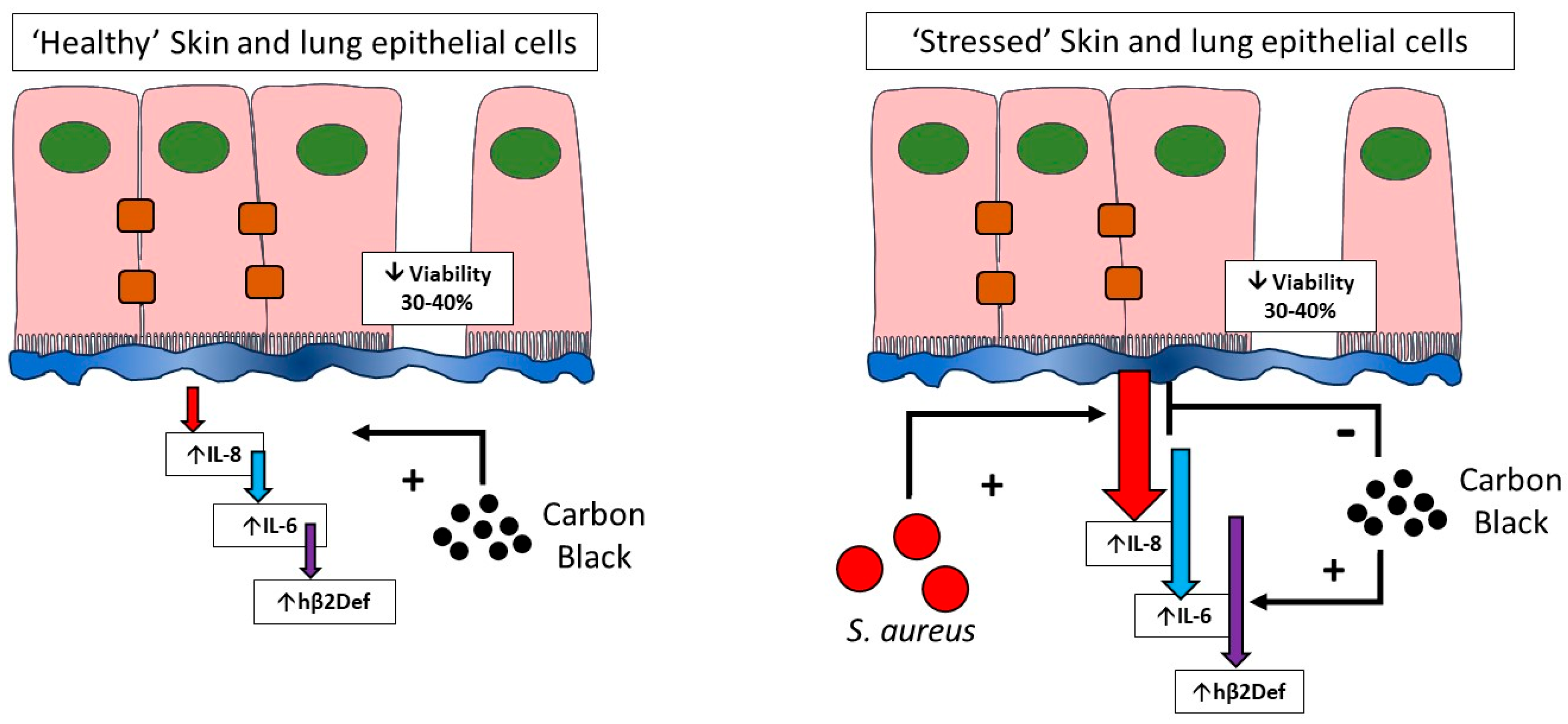 Biomedicines 12 00128 g008 Biomedicines 12 00128 g008