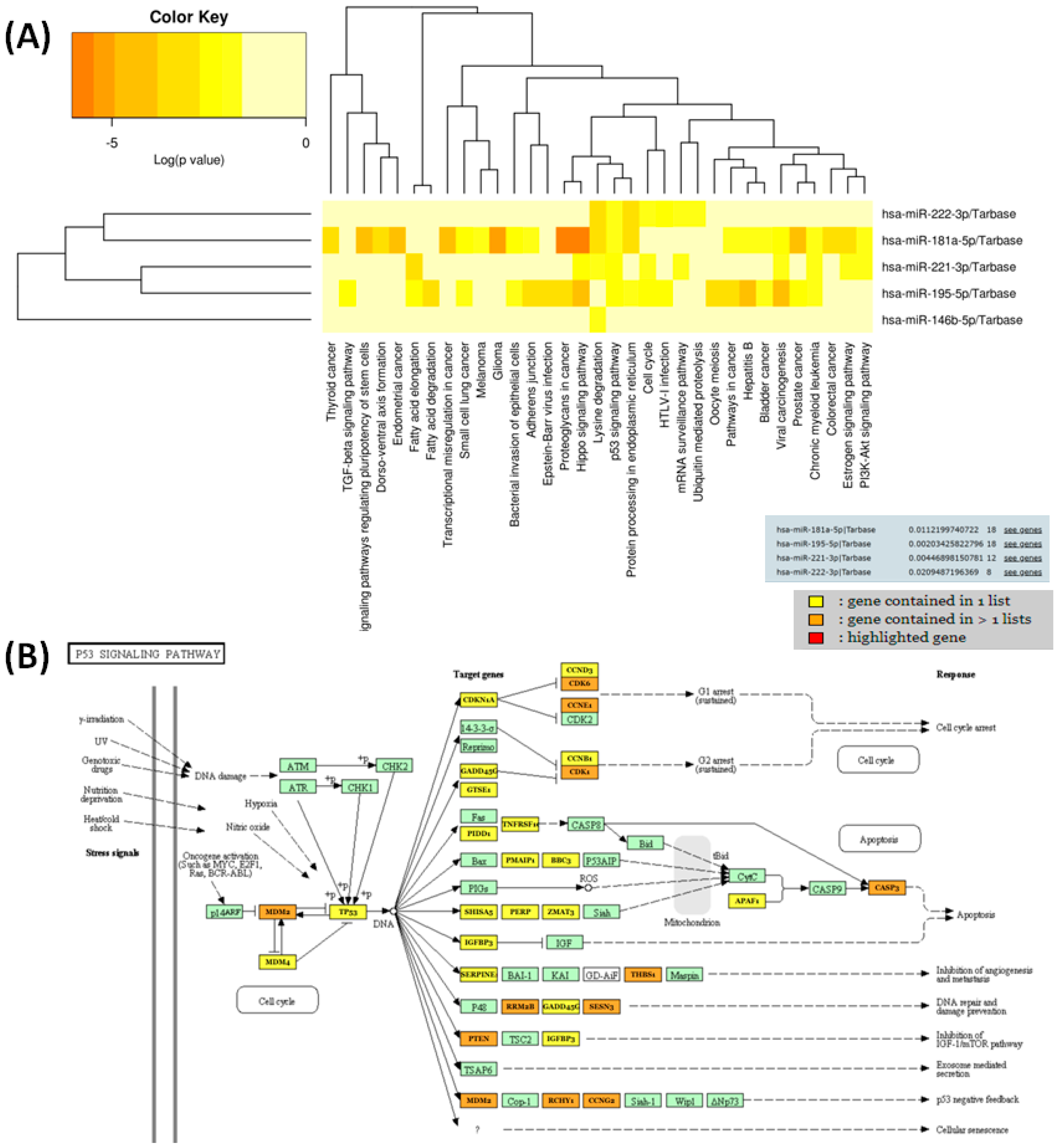 Biomedicines 12 00136 g007
