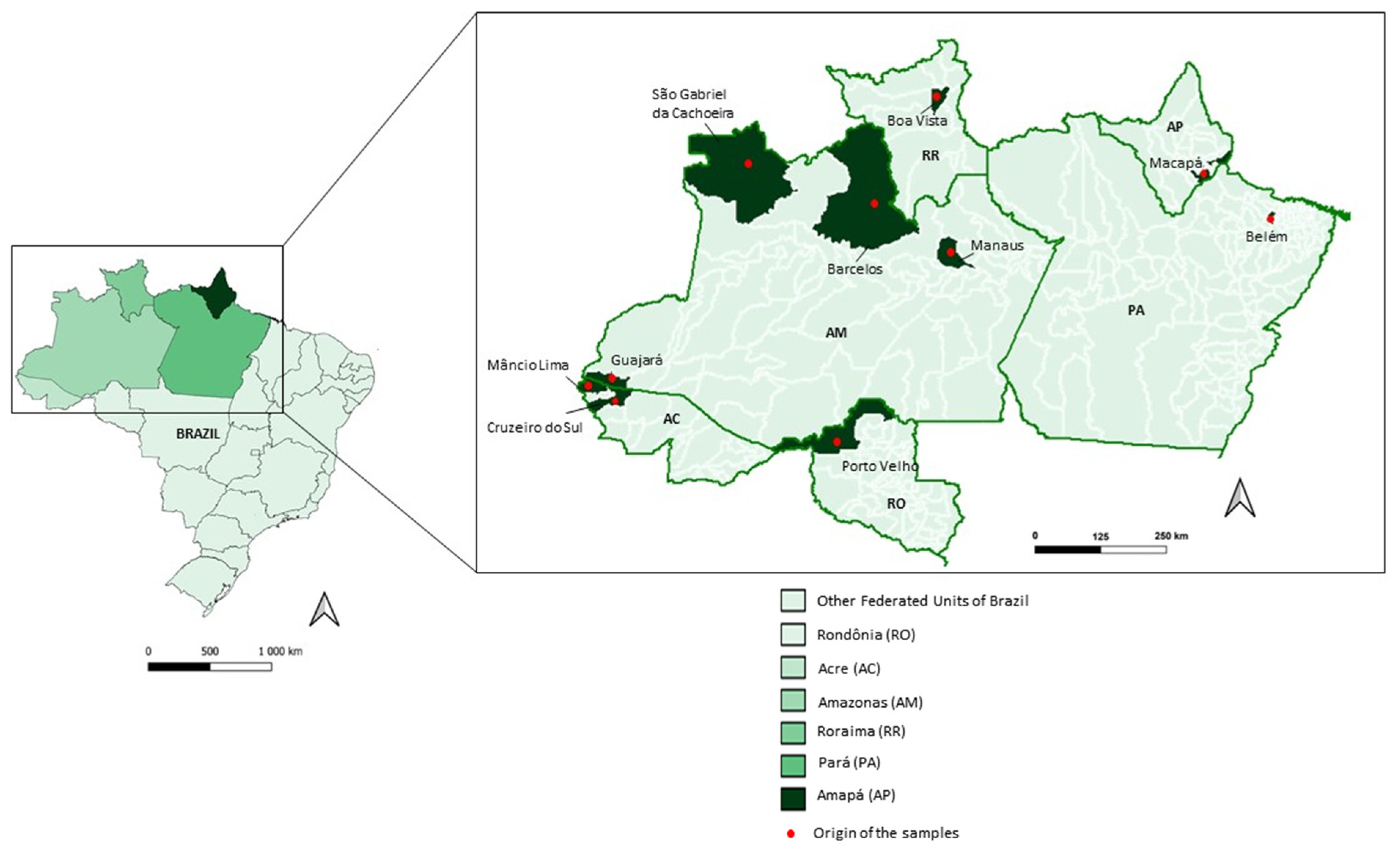 Biomedicines 12 00141 g001 Biomedicines 12 00141 g001