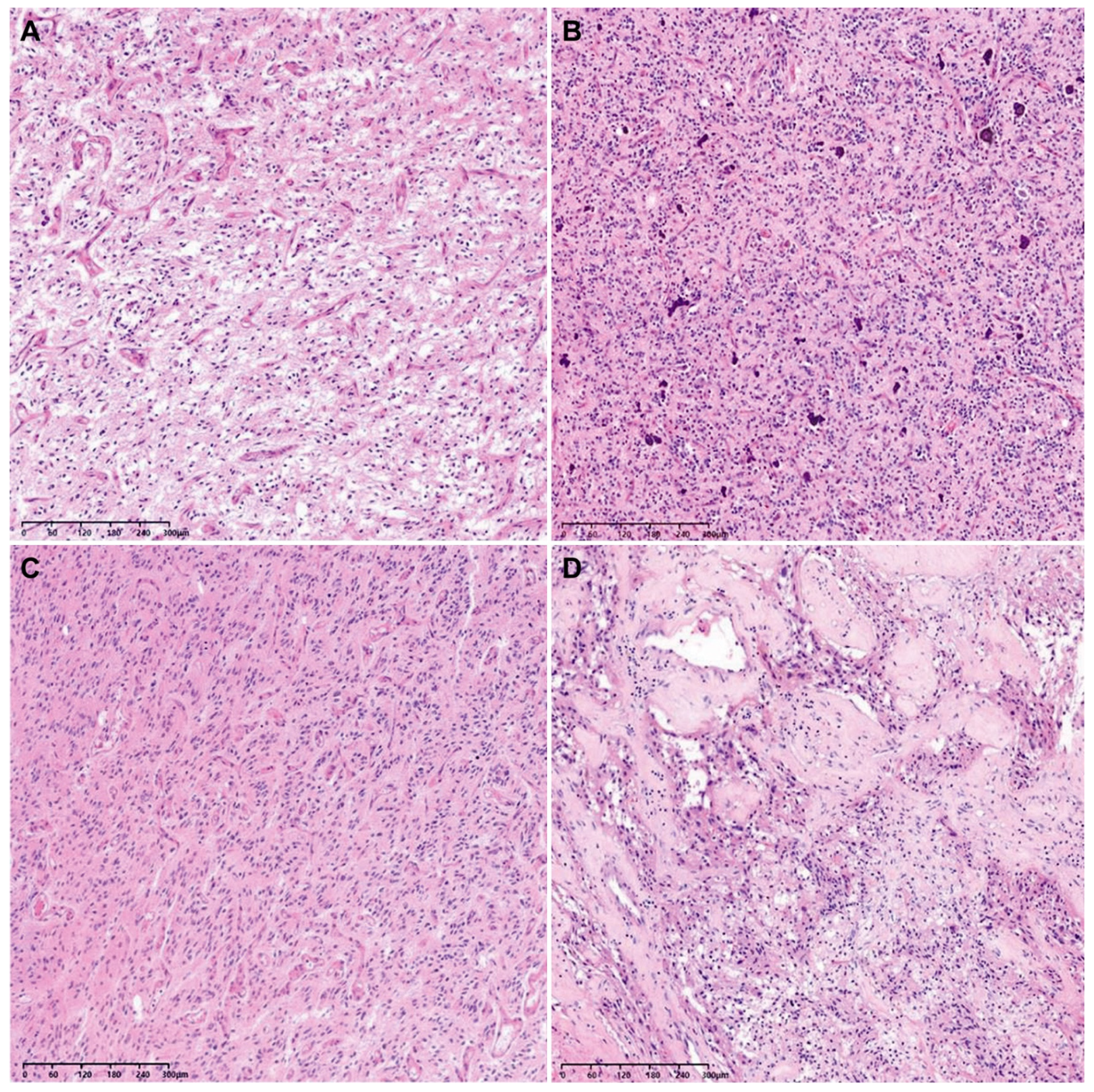 Biomedicines 12 00150 g002