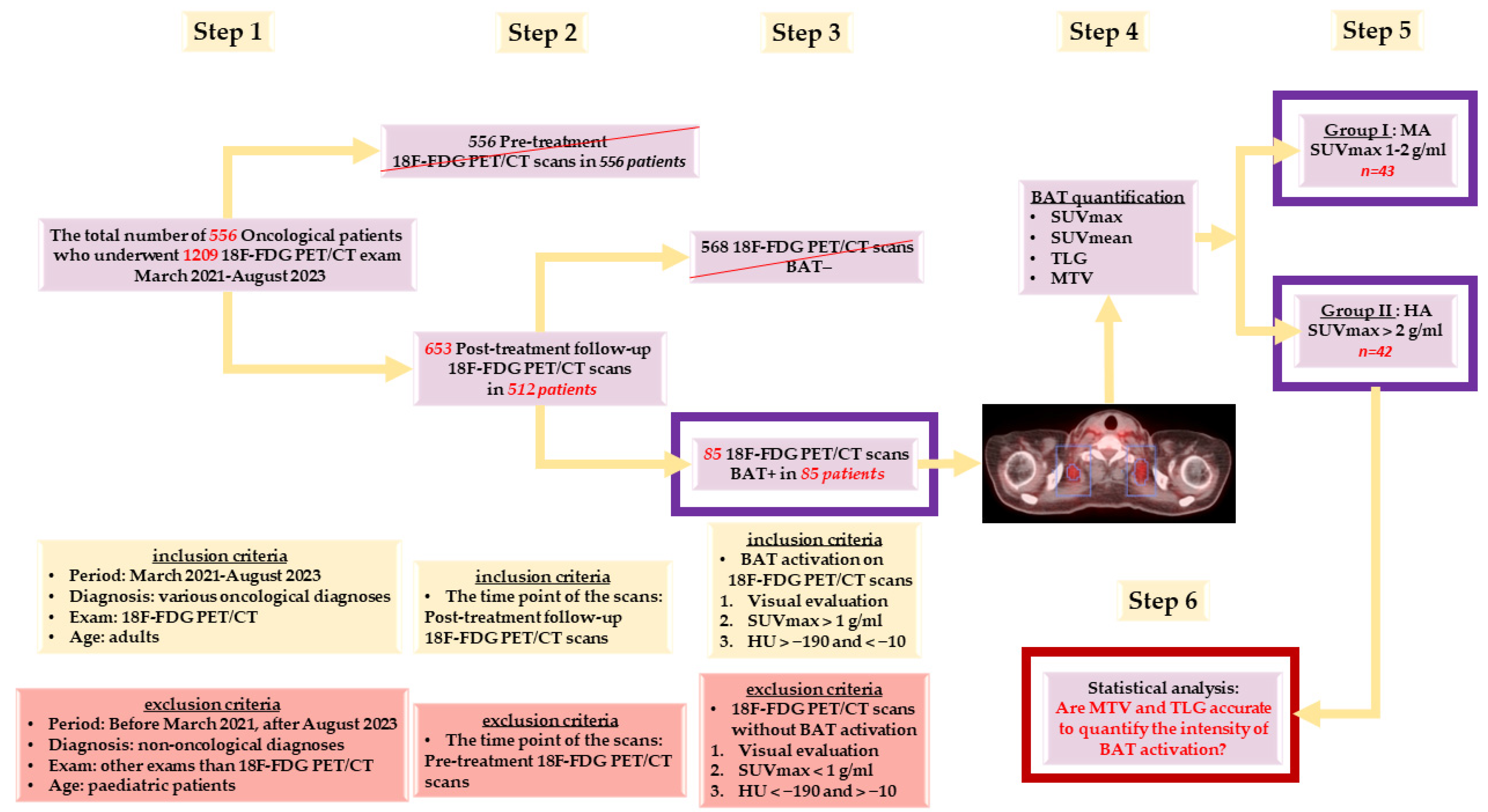 Biomedicines 12 00151 g001