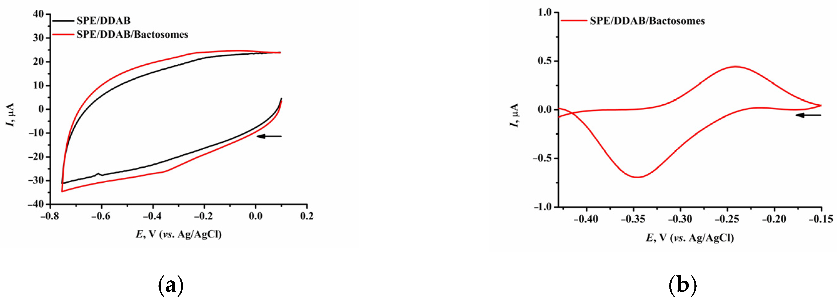Biomedicines 12 00152 g001