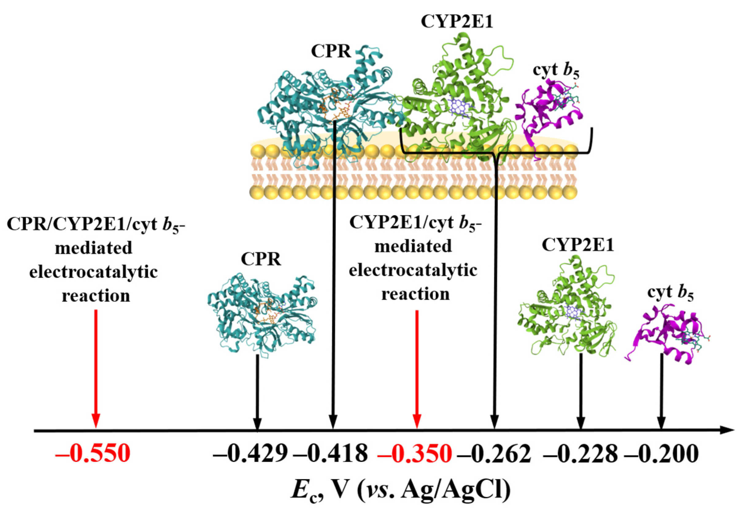 Biomedicines 12 00152 g009
