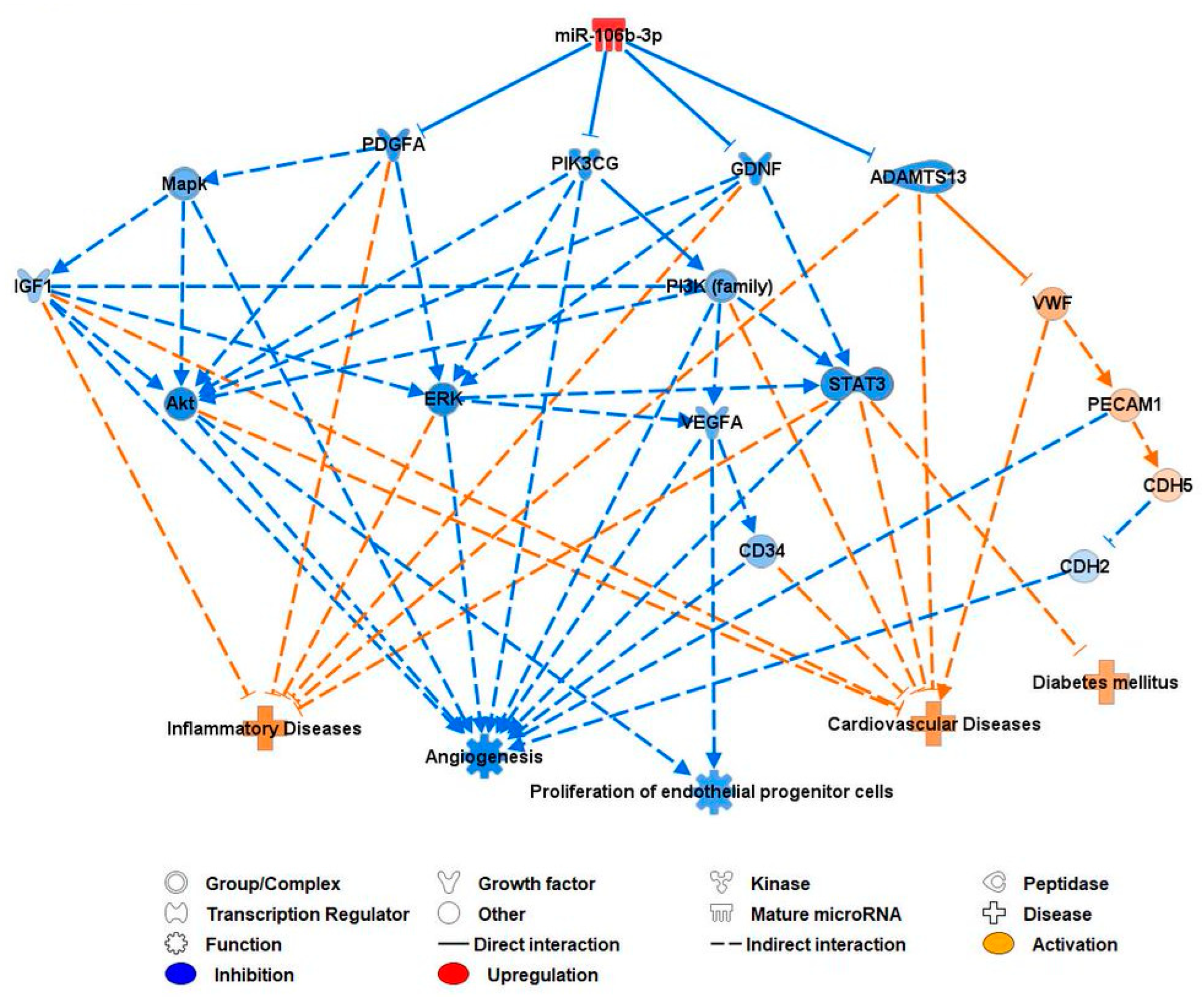 Biomedicines 12 00171 g006 Biomedicines 12 00171 g006