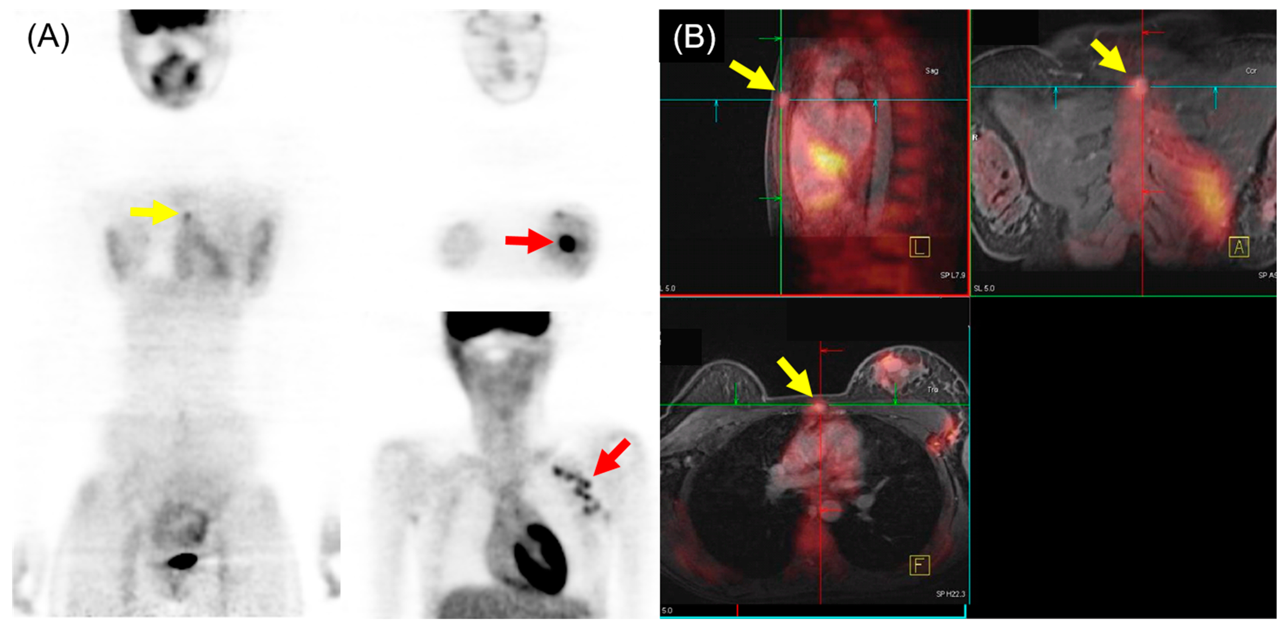 Biomedicines 12 00172 g003