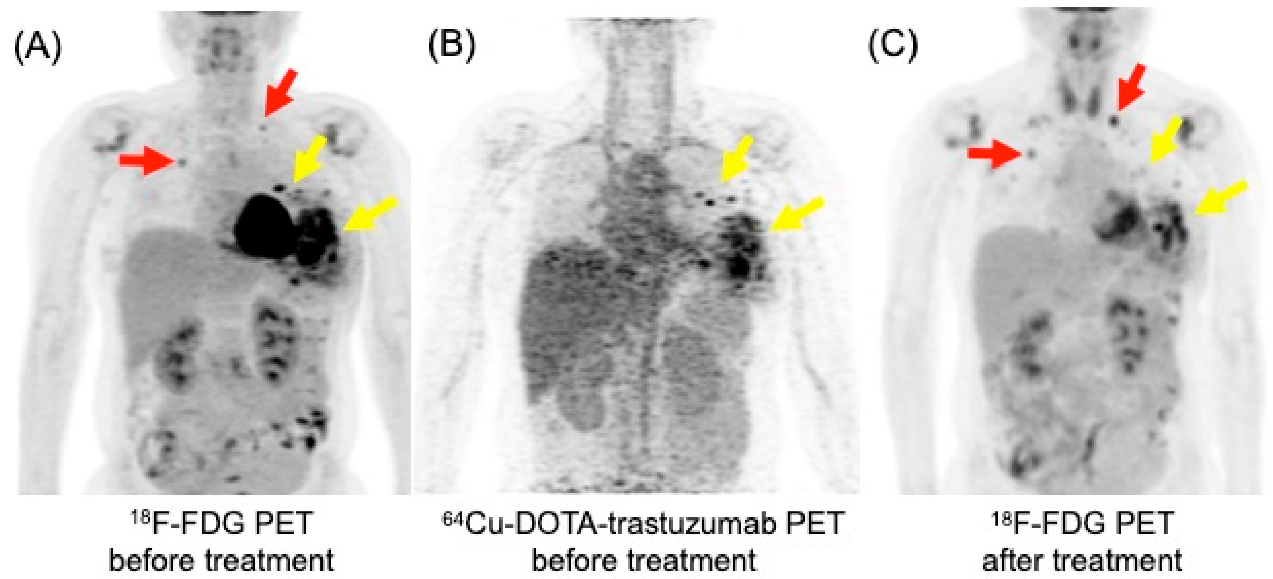 Biomedicines 12 00172 g005