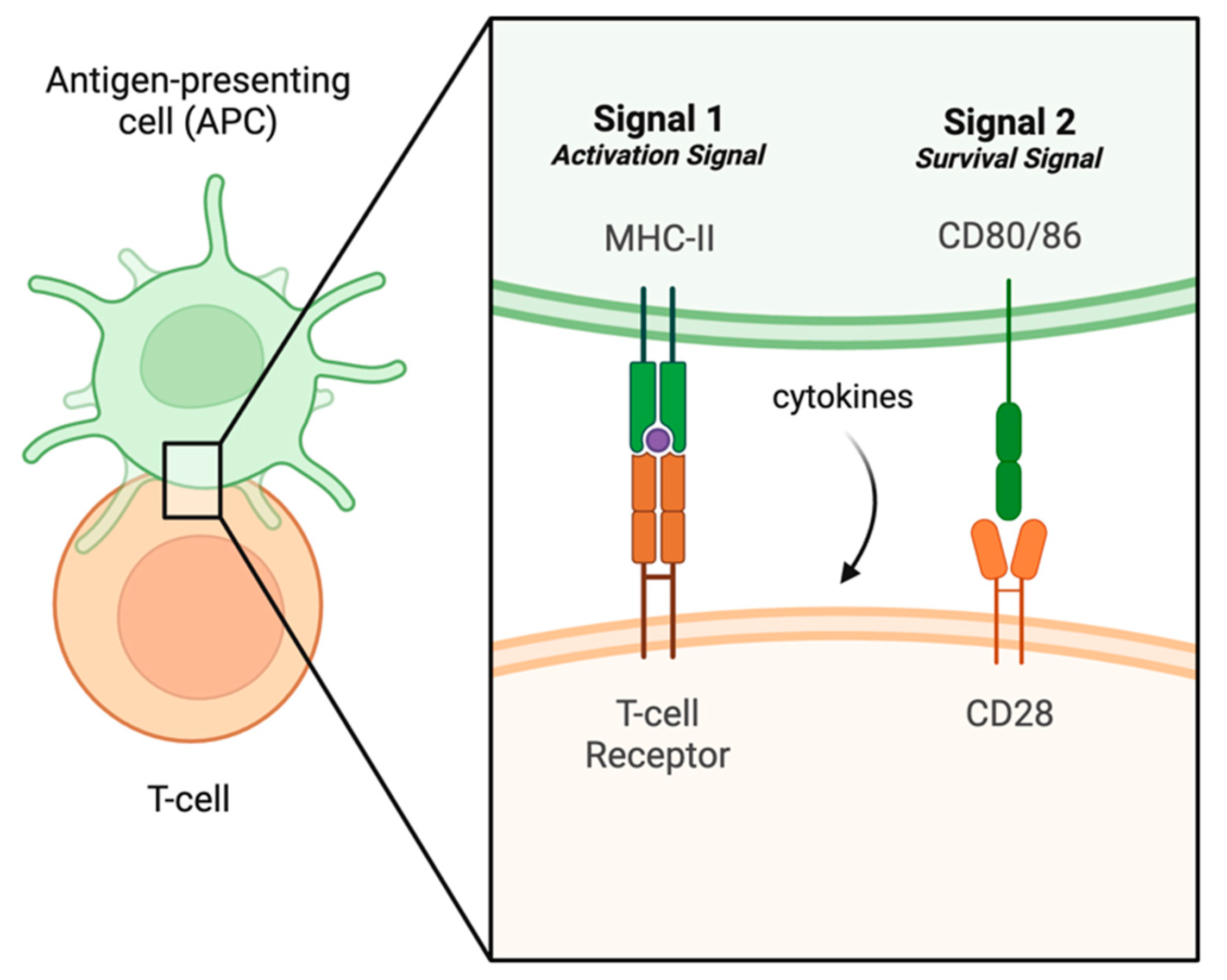 Biomedicines 12 00175 g003 Biomedicines 12 00175 g003