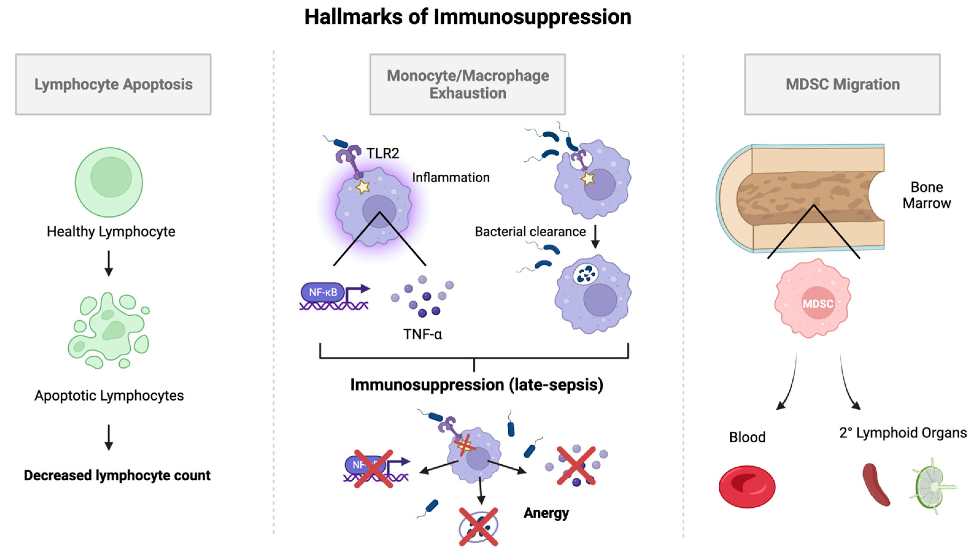 Biomedicines 12 00175 g004 Biomedicines 12 00175 g004
