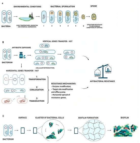 Biomedicines 12 00176 g001
