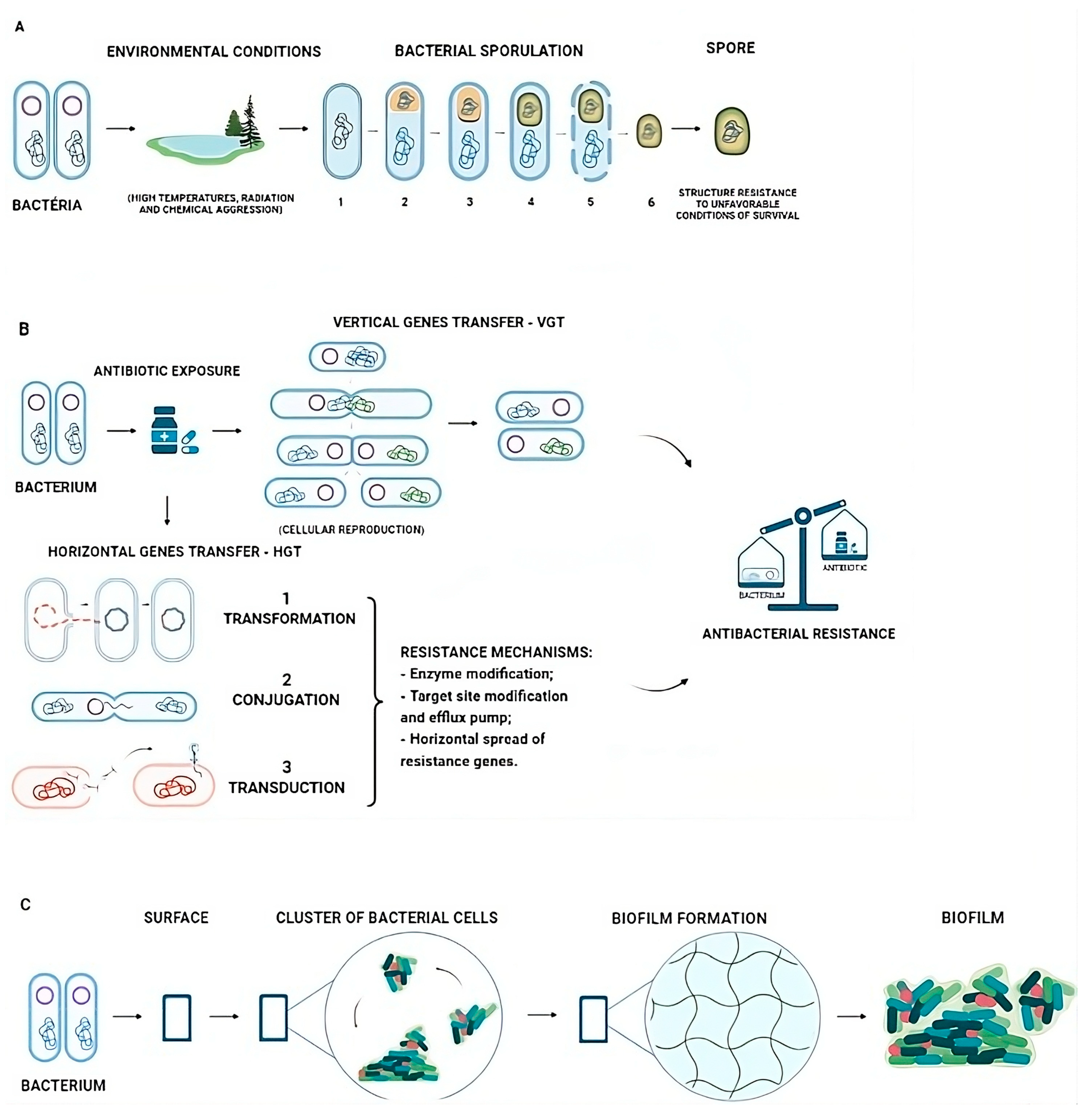 Biomedicines 12 00176 g001