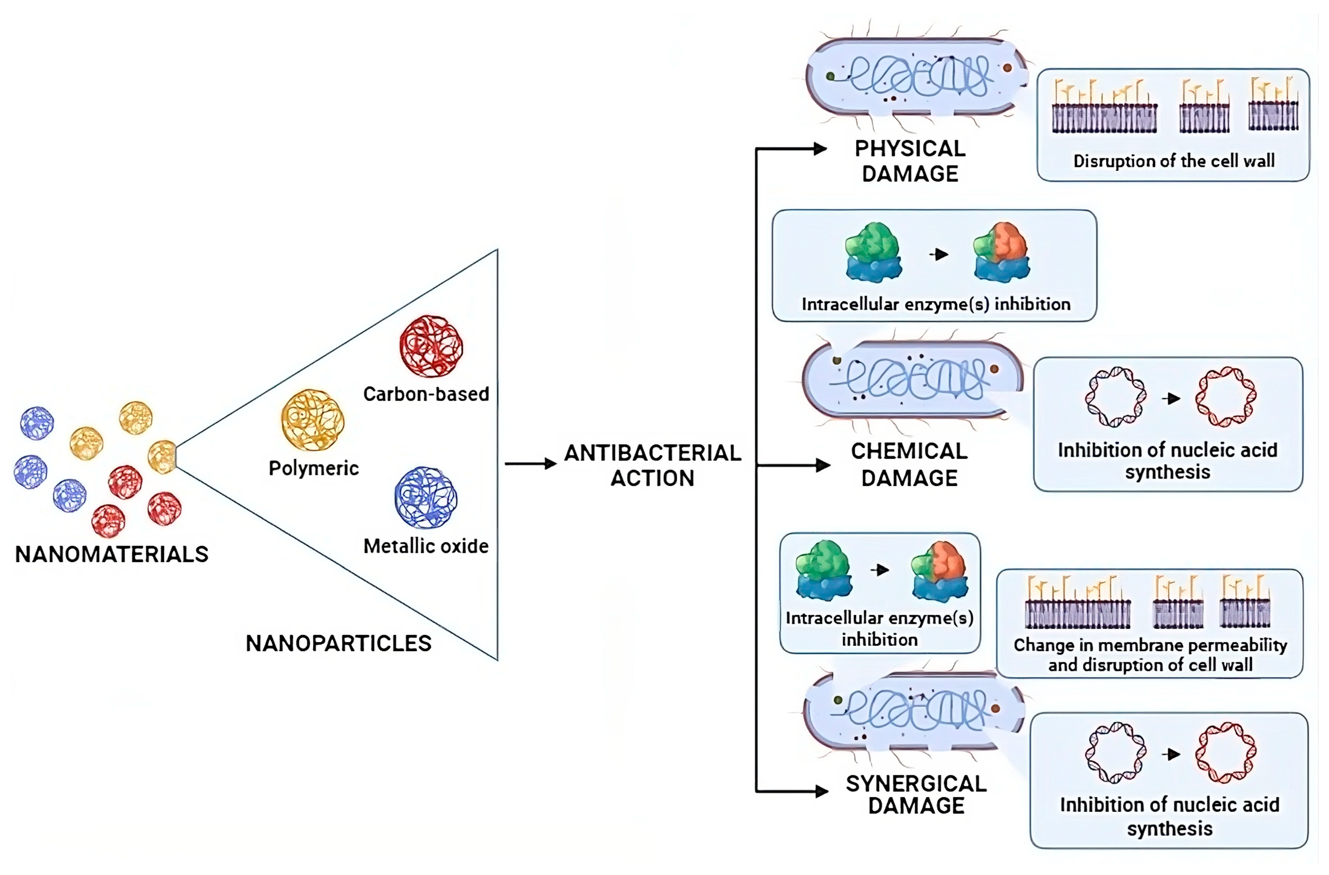 Biomedicines 12 00176 g002