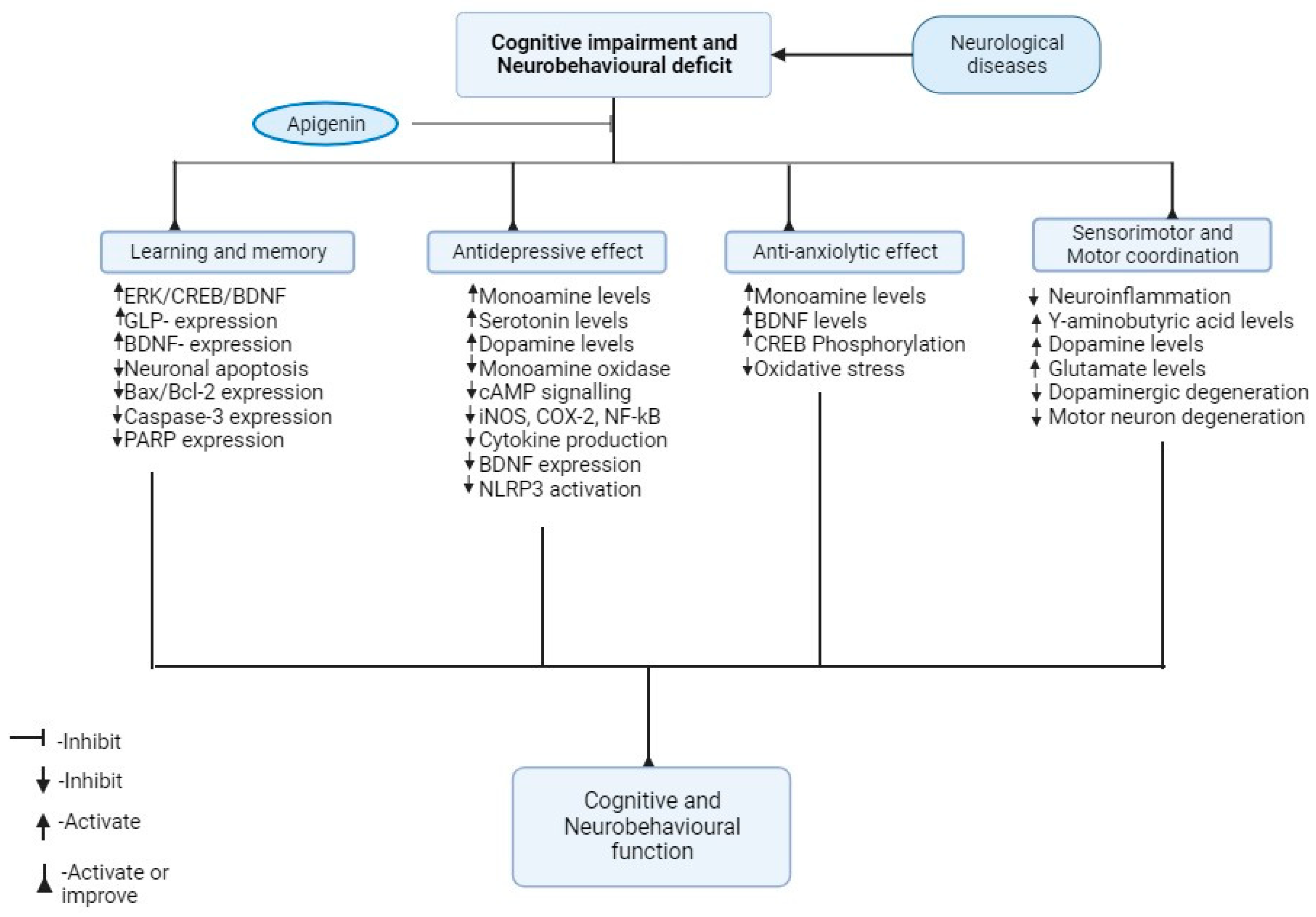 Biomedicines 12 00178 g002
