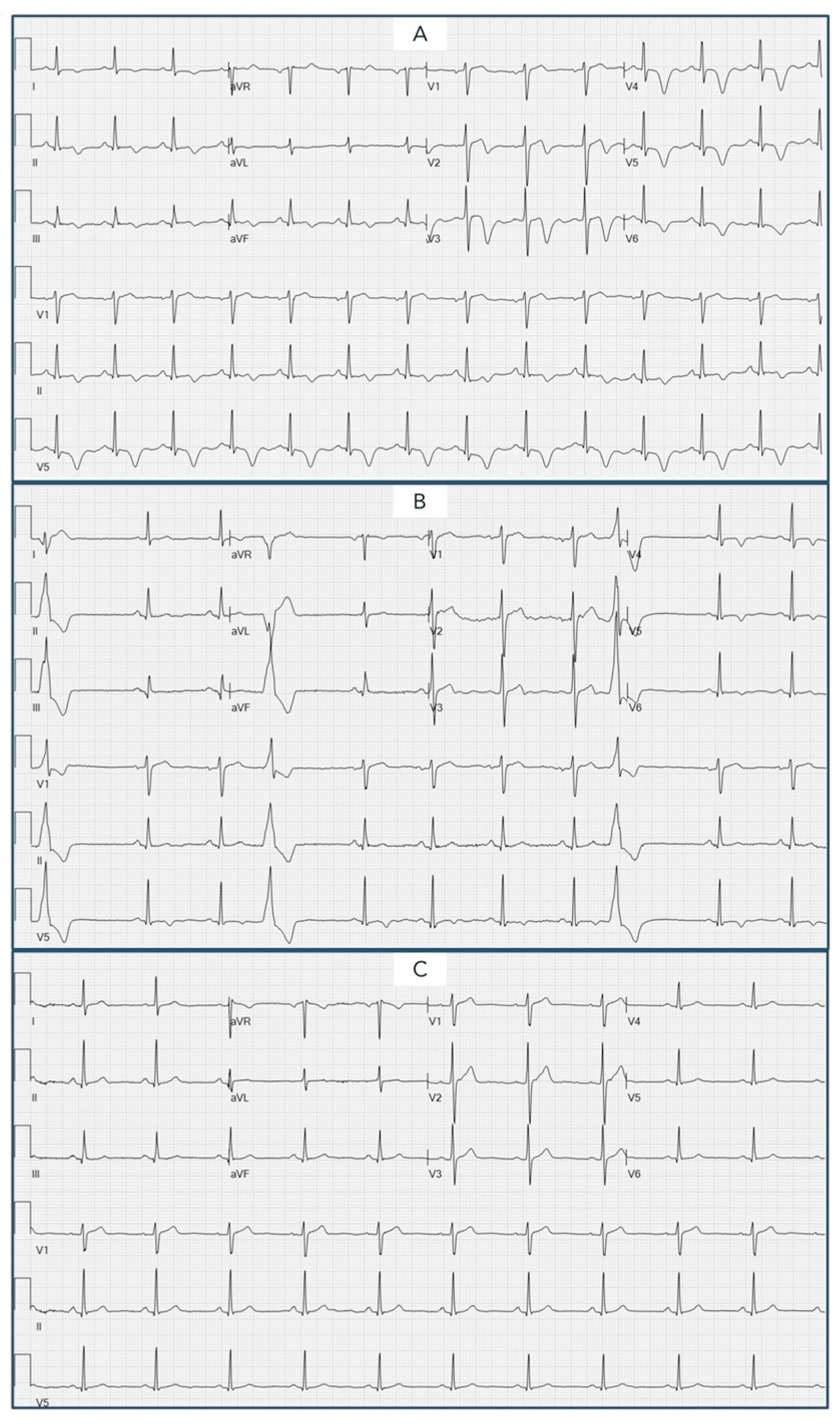 Biomedicines 12 00179 g001