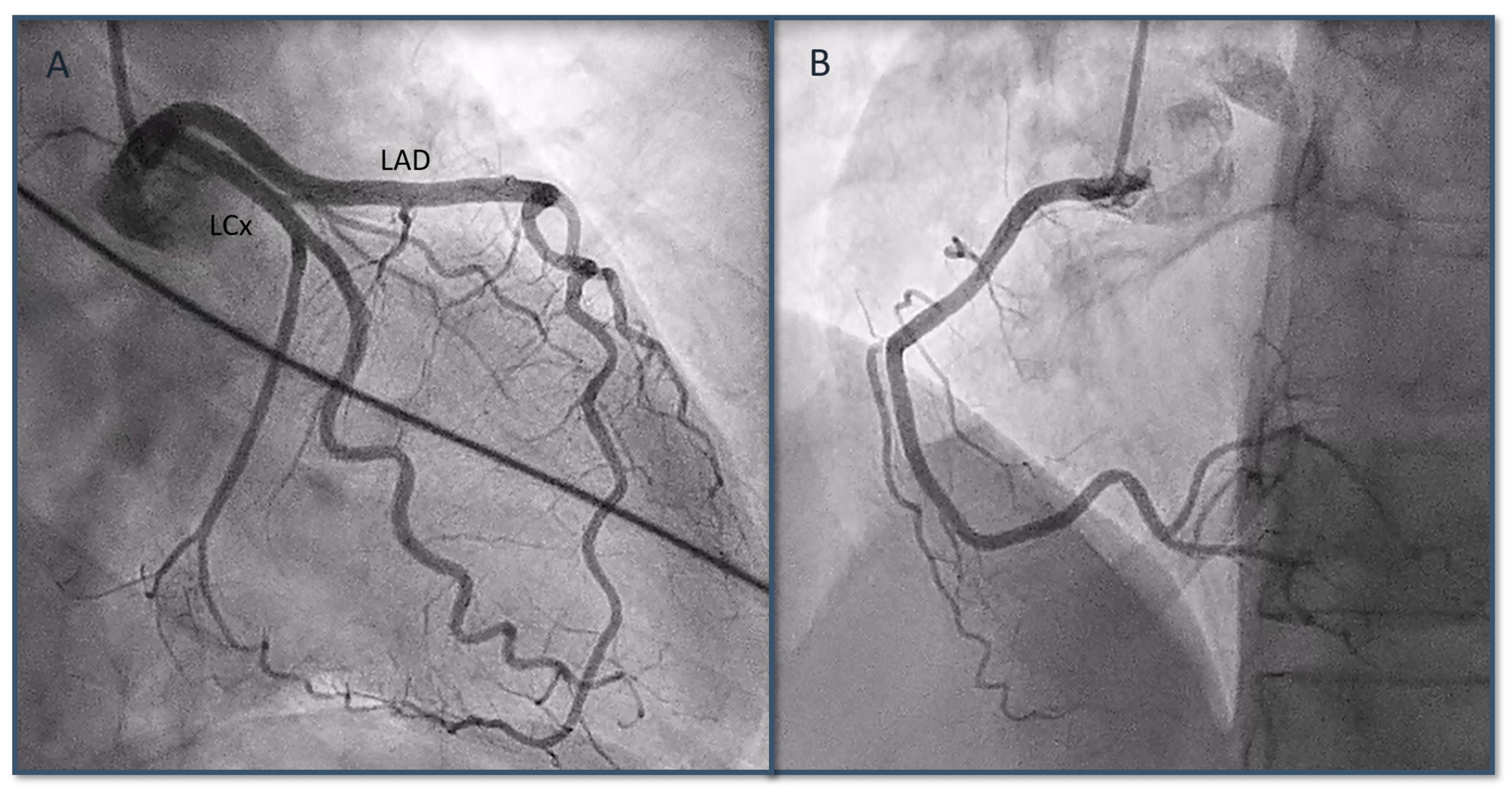 Biomedicines 12 00179 g002