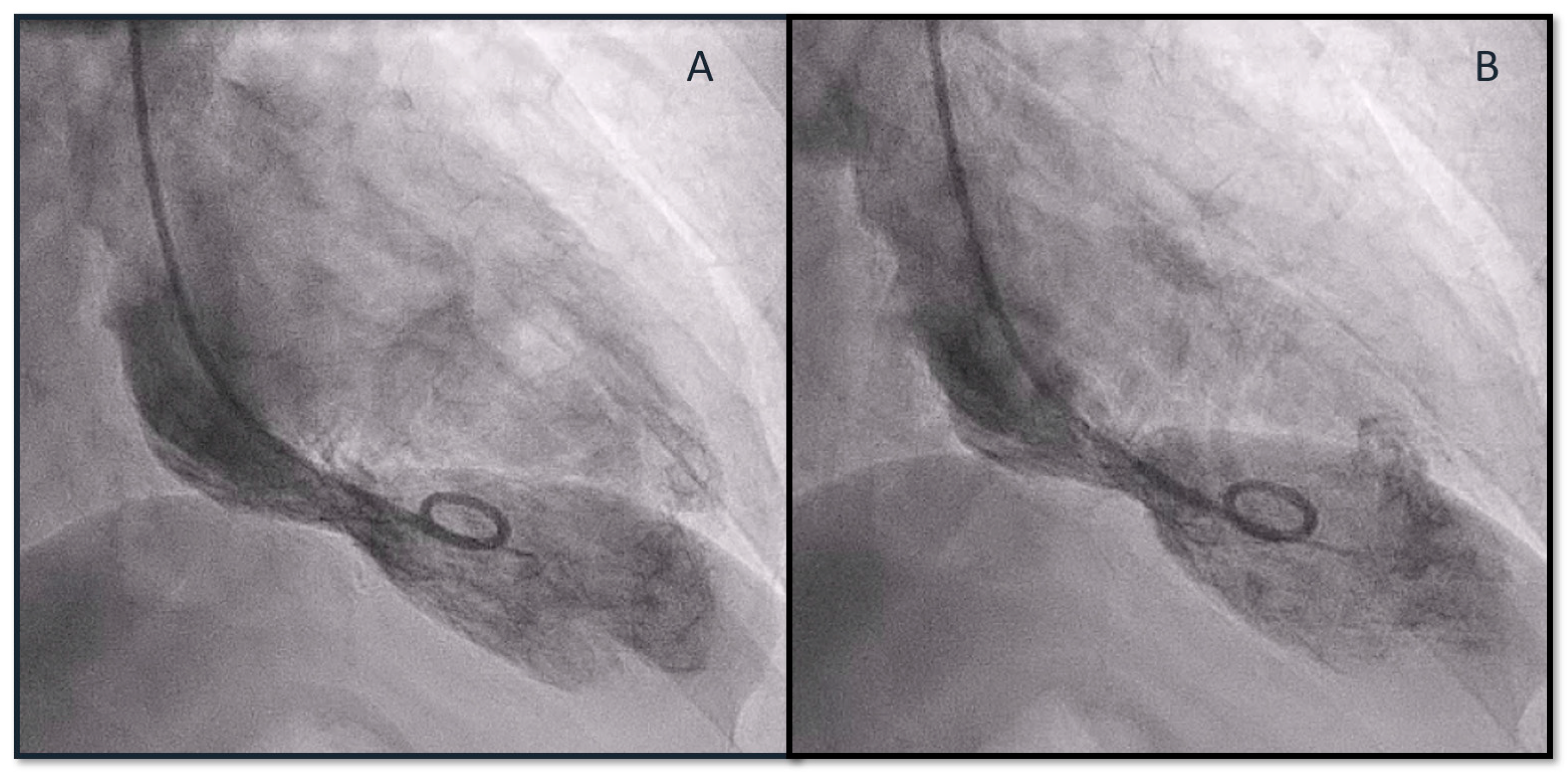 Biomedicines 12 00179 g003