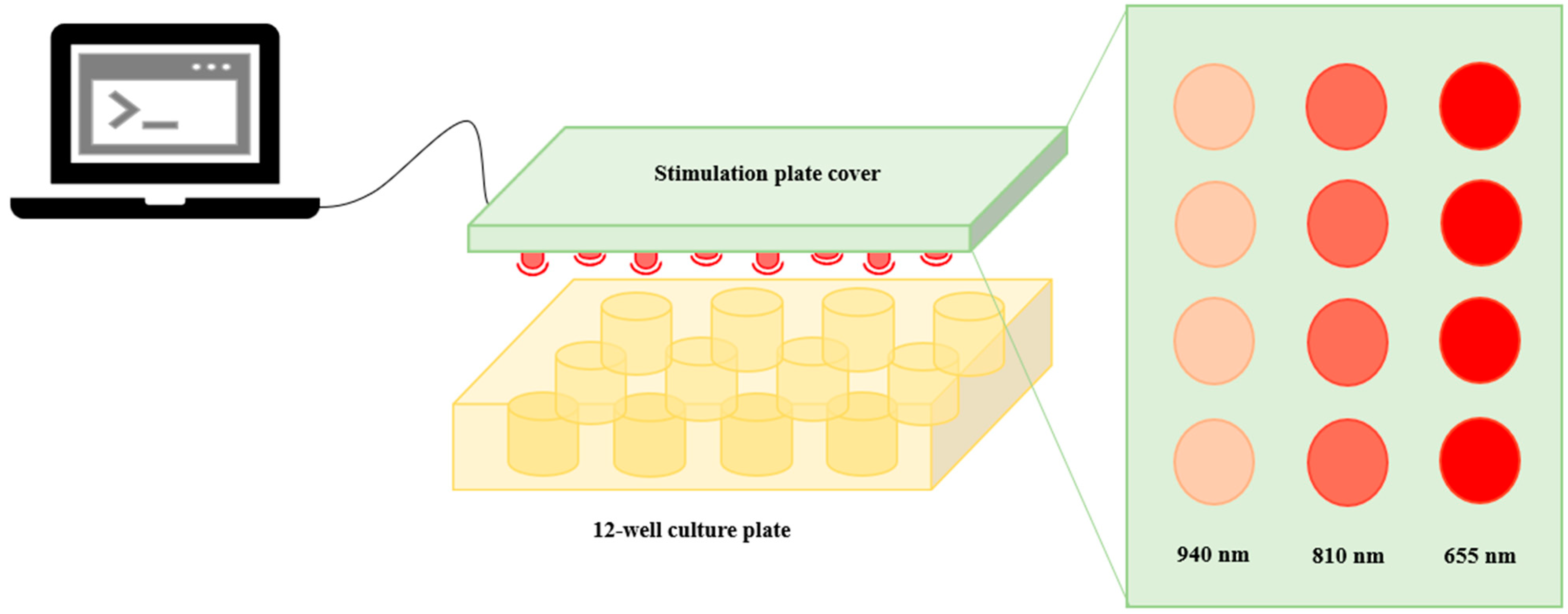 Biomedicines 12 00180 g001