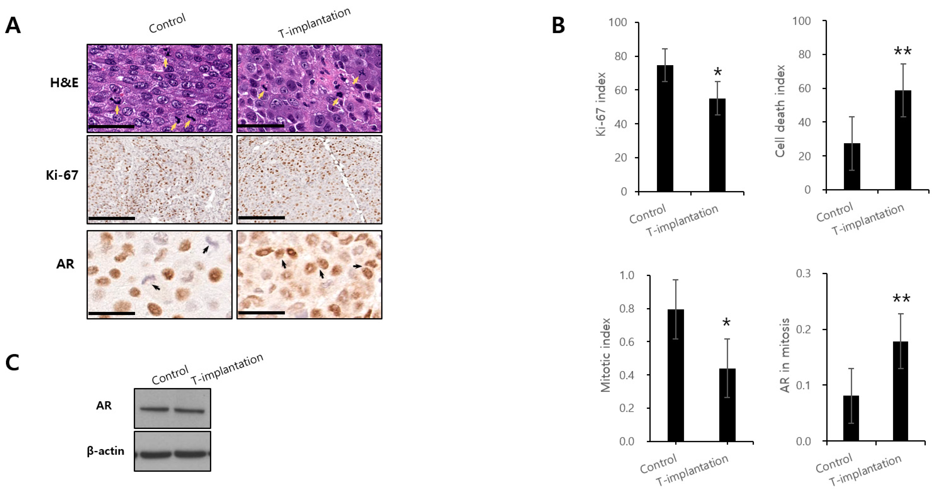 Biomedicines 12 00181 g005
