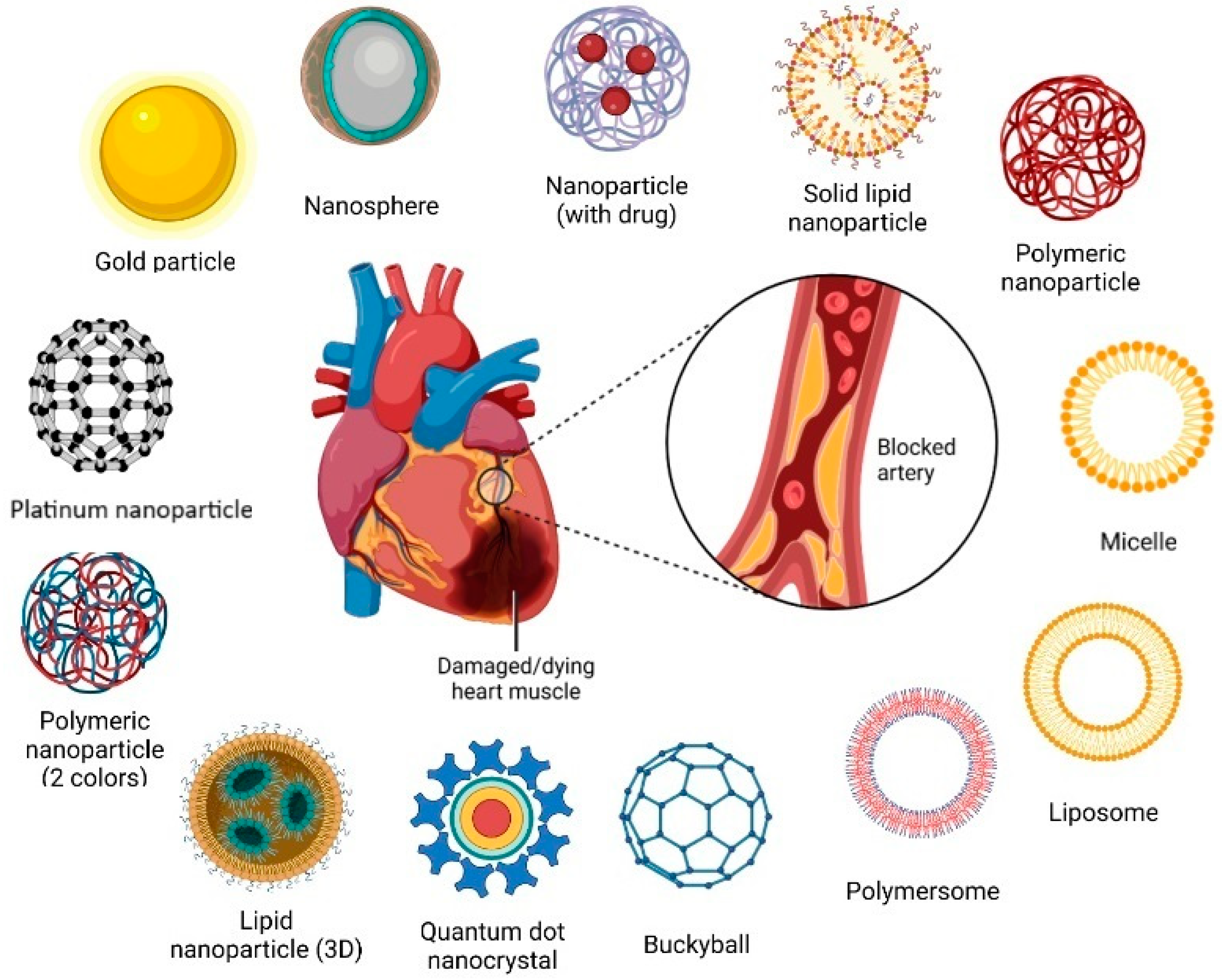 Biomedicines 12 00185 g001 Biomedicines 12 00185 g001