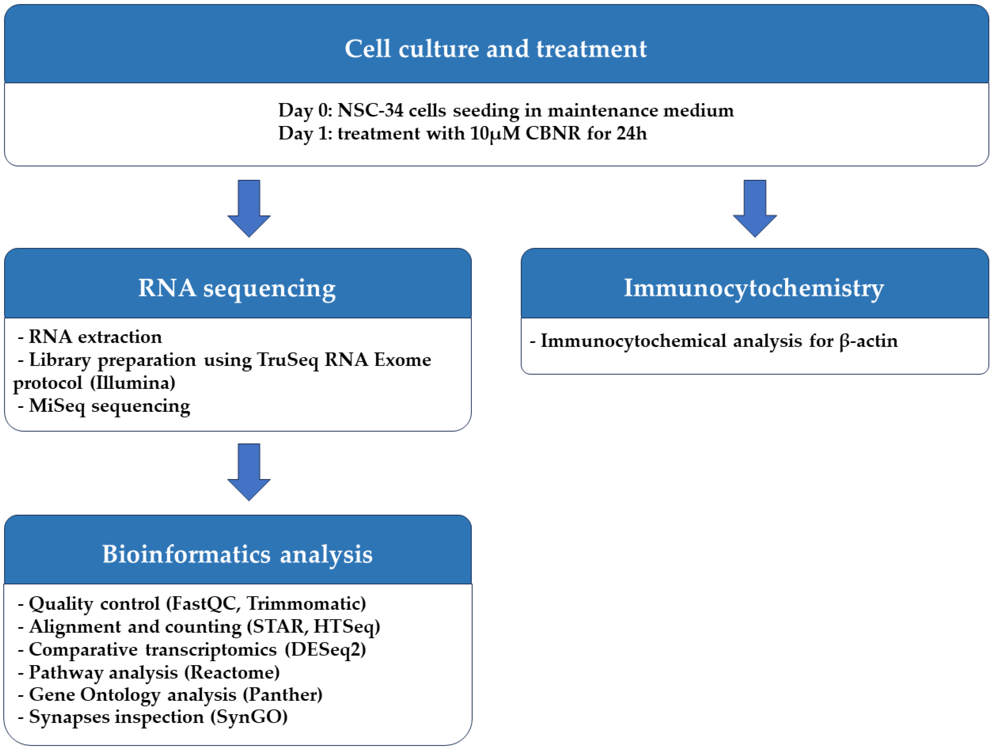 Biomedicines 12 00189 g001 Biomedicines 12 00189 g001