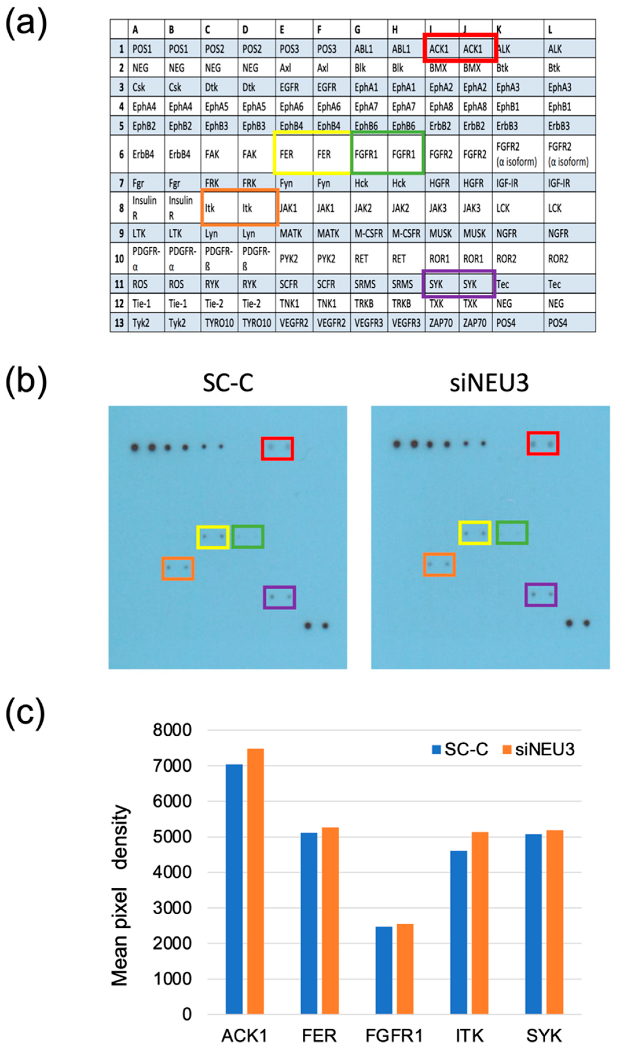 Biomedicines 12 00192 g005
