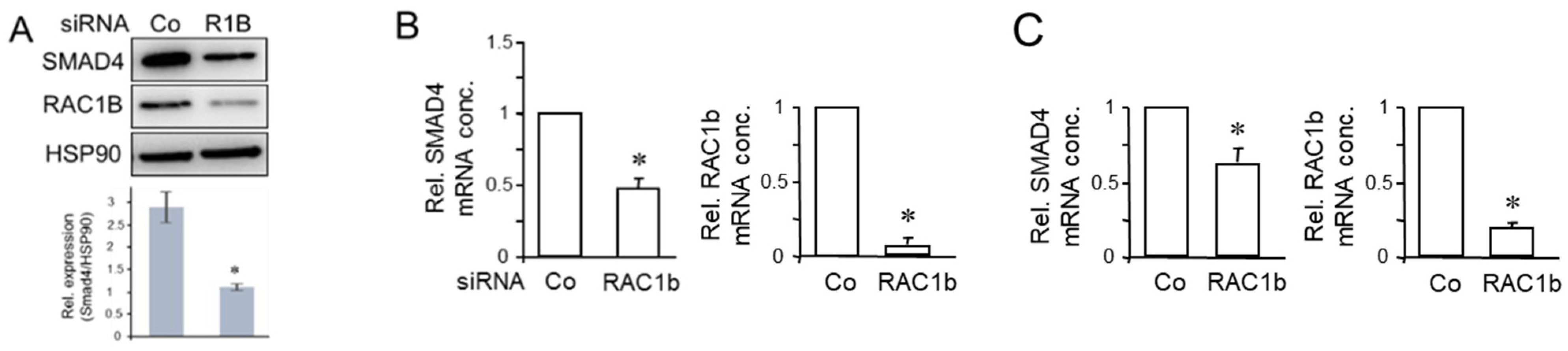 Biomedicines 12 00199 g003