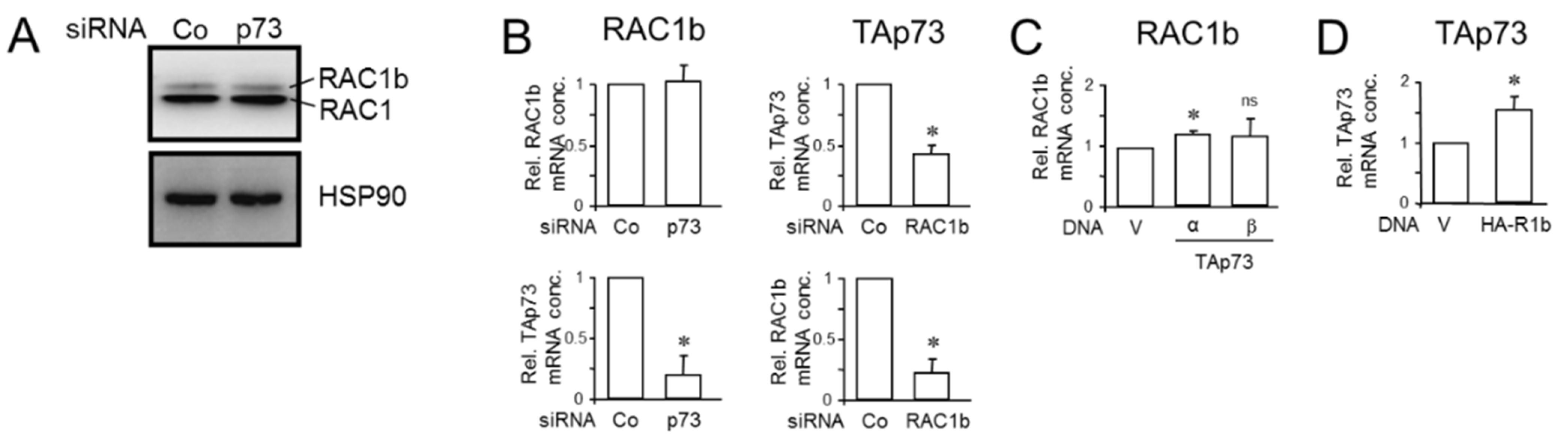 Biomedicines 12 00199 g004