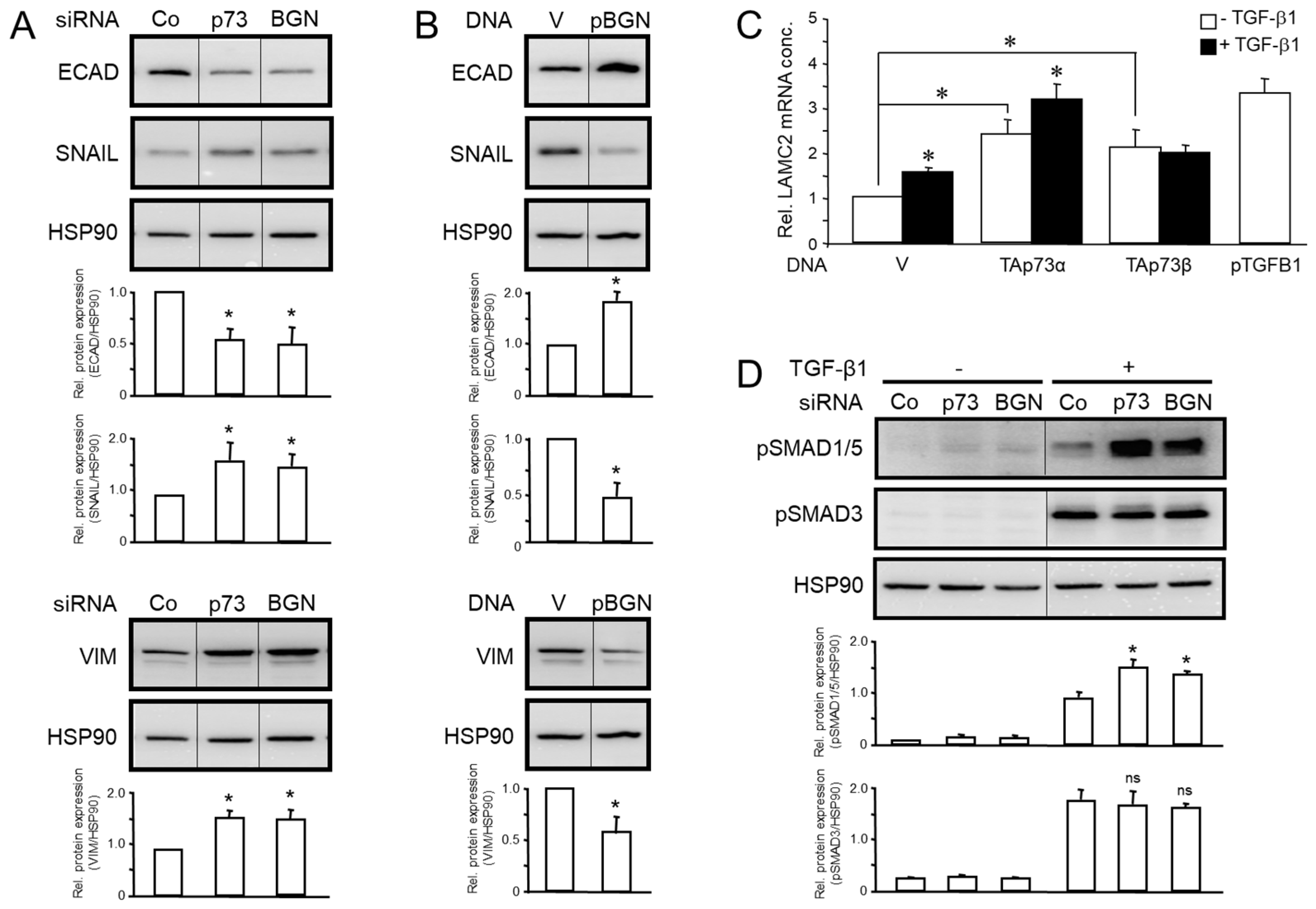Biomedicines 12 00199 g007