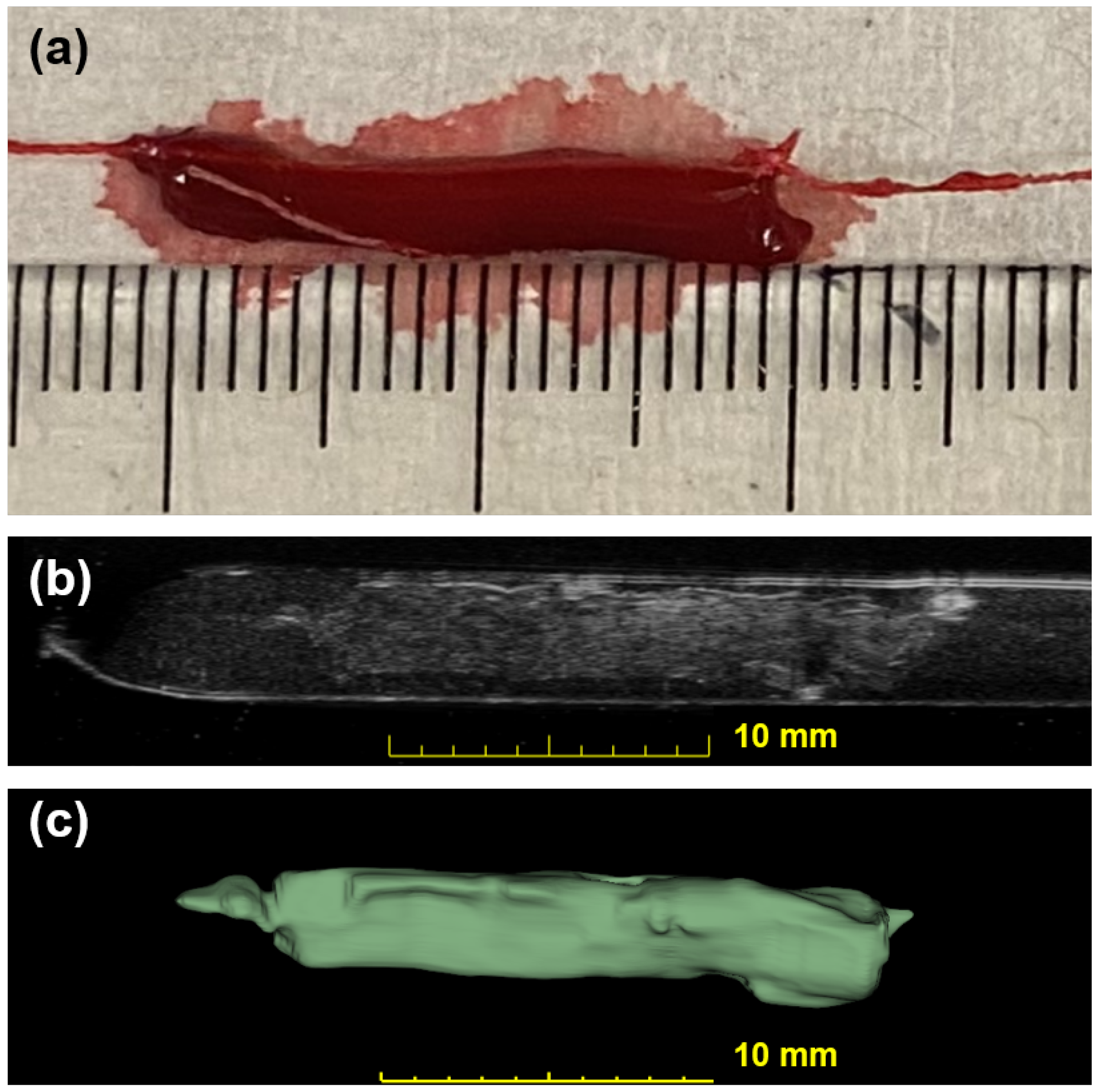 Biomedicines 12 00200 g004