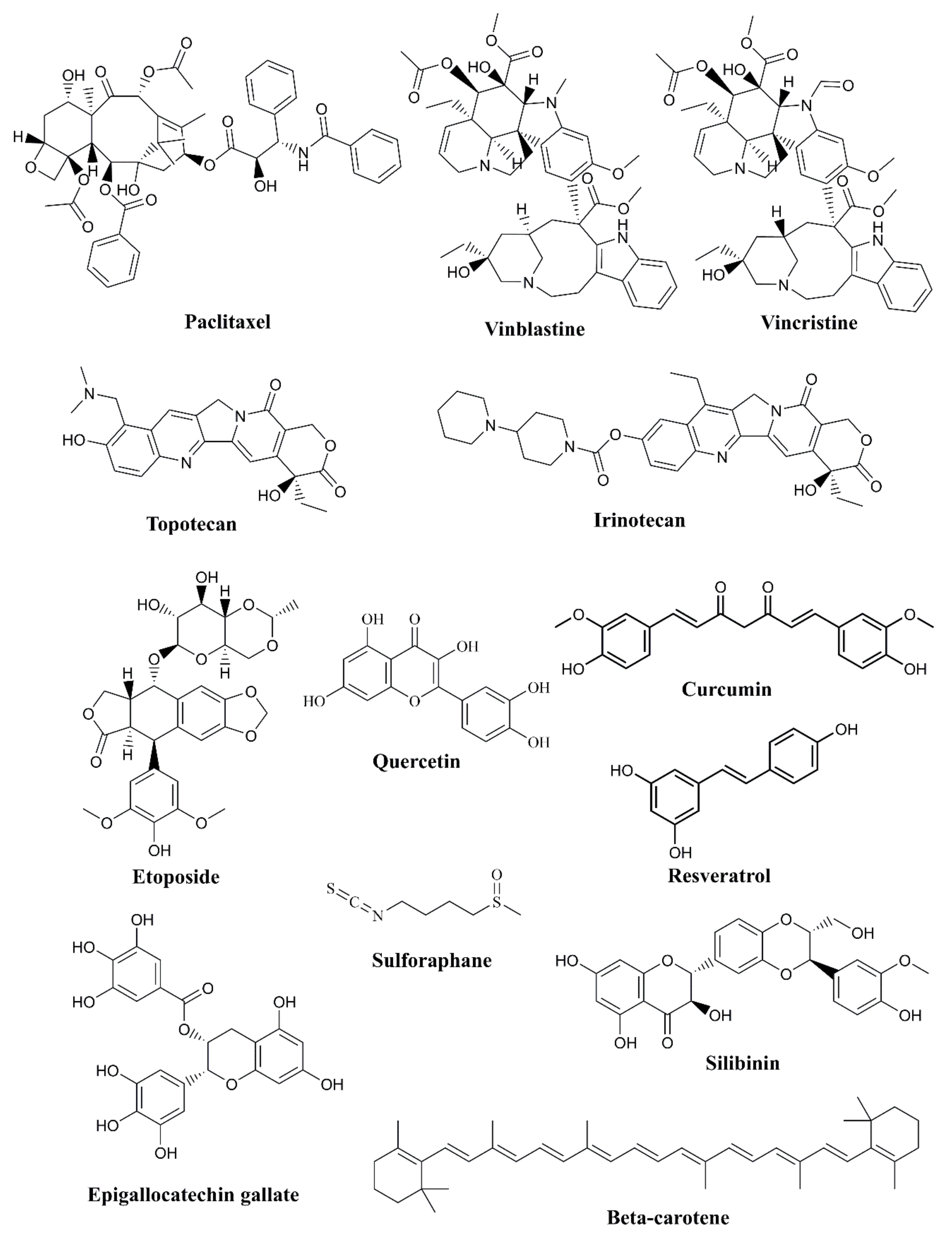 Biomedicines 12 00201 g002