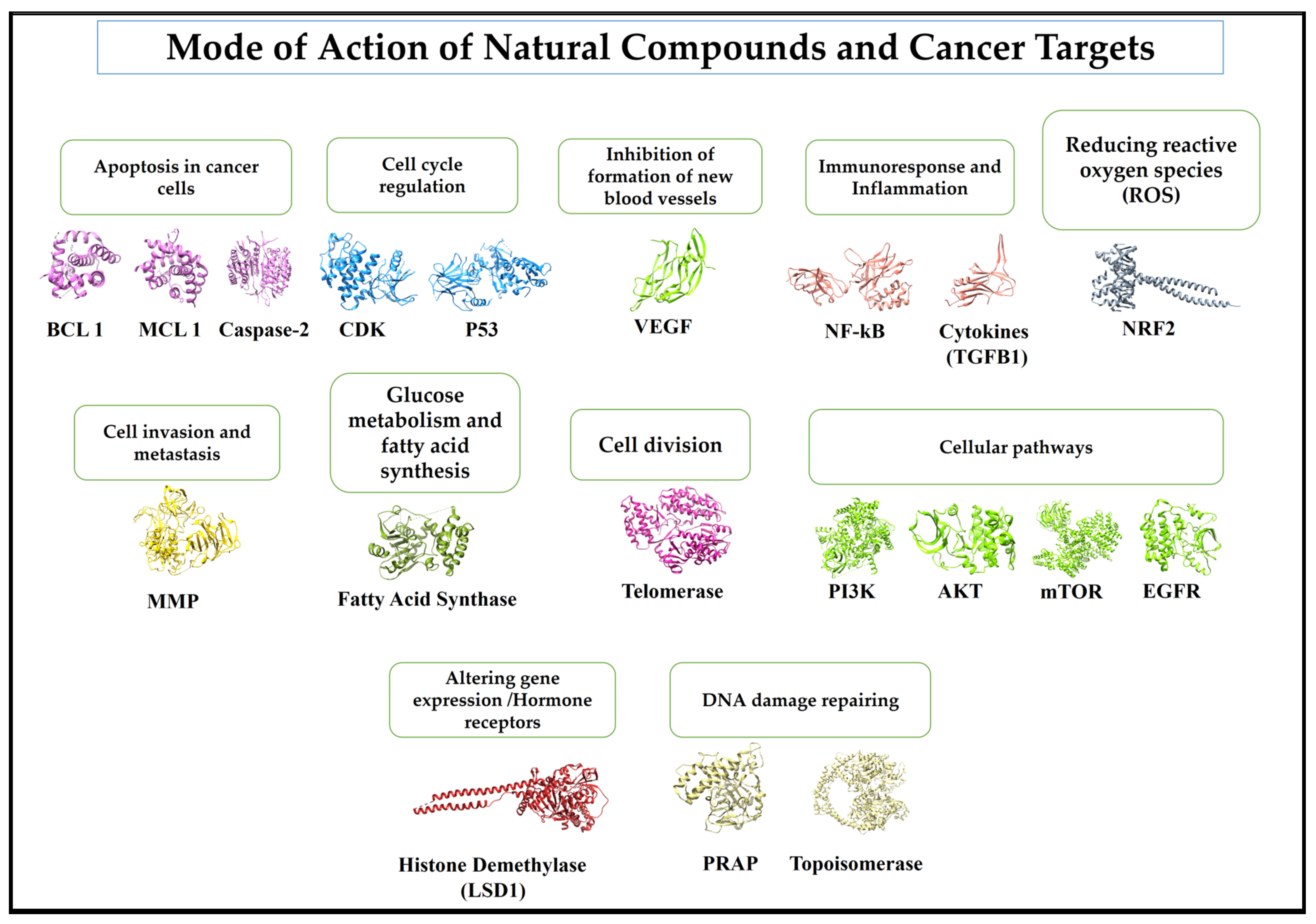 Biomedicines 12 00201 g003